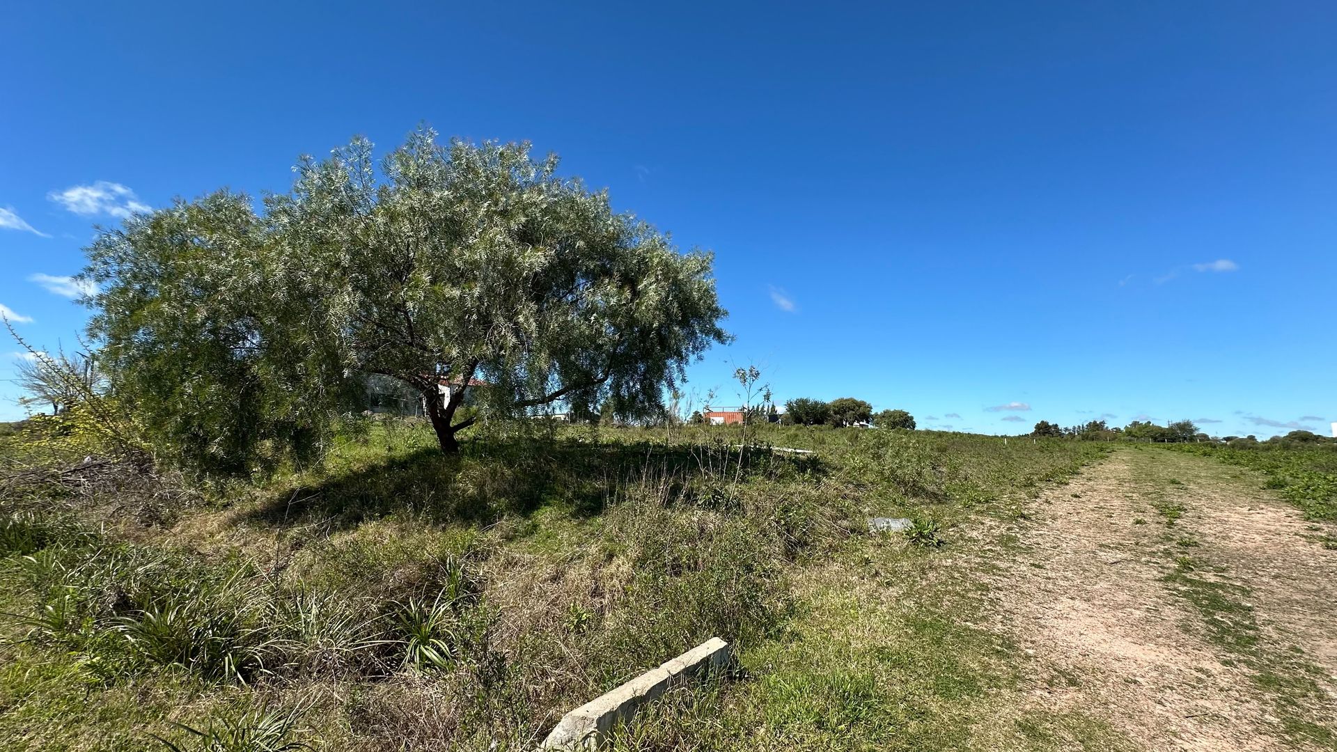 TERRENO EN VENTA EN PAYSANDÚ, REPÚBLICA DE BOLIVIA - 3