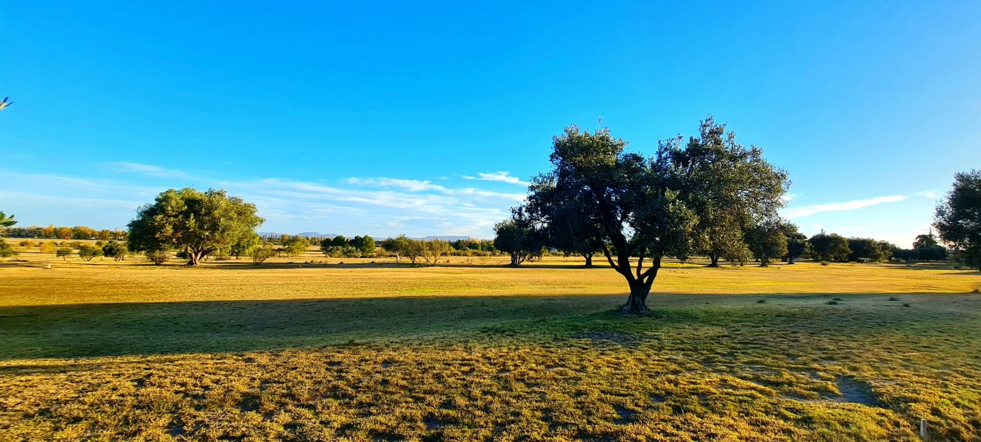 Casa en Venta en San Rafael, Mendoza