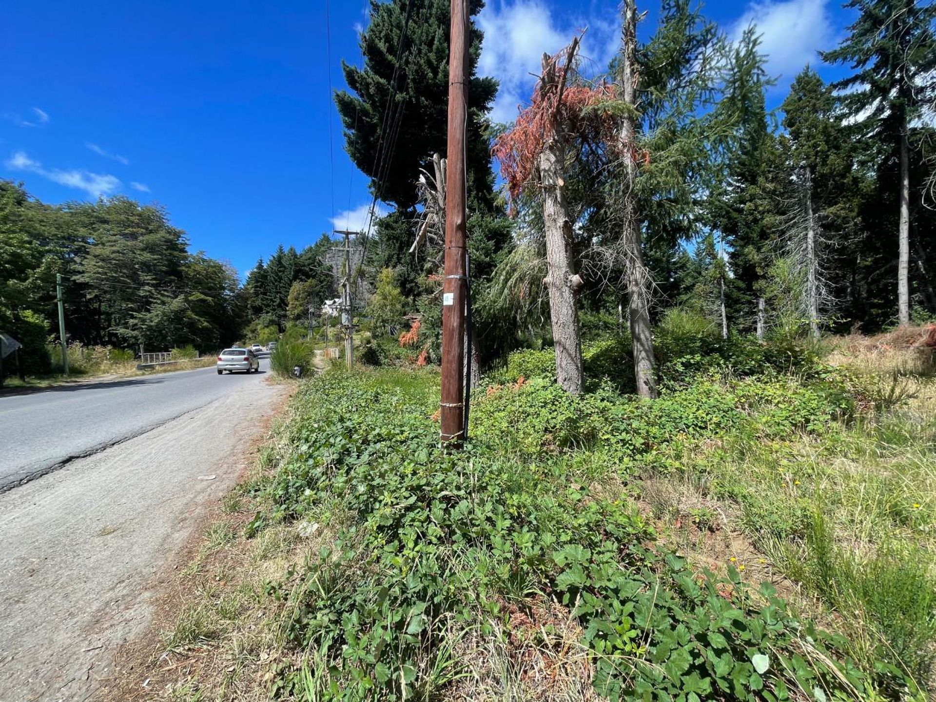 Lote en Avenida Exequiel Bustillo 21000
