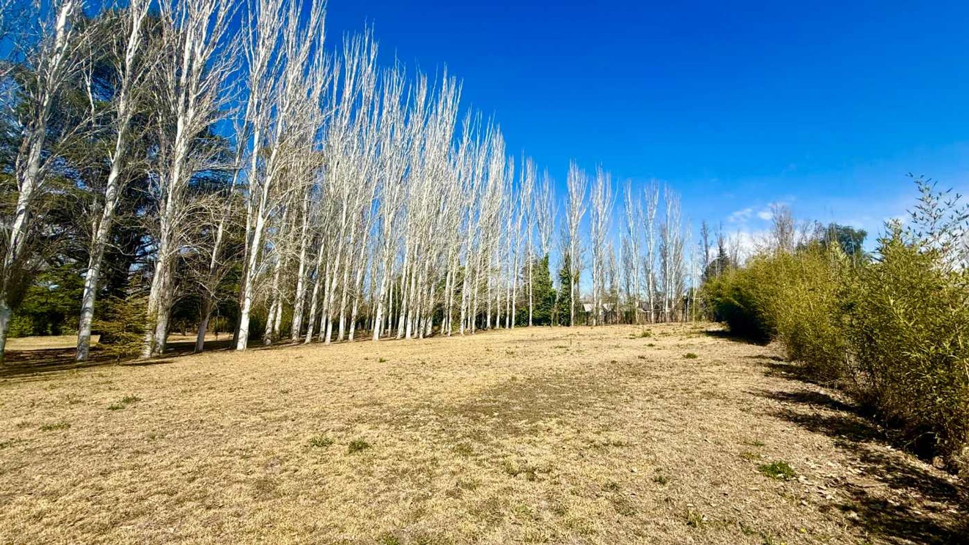 Lote en Venta en Lujan de Cuyo, Mendoza