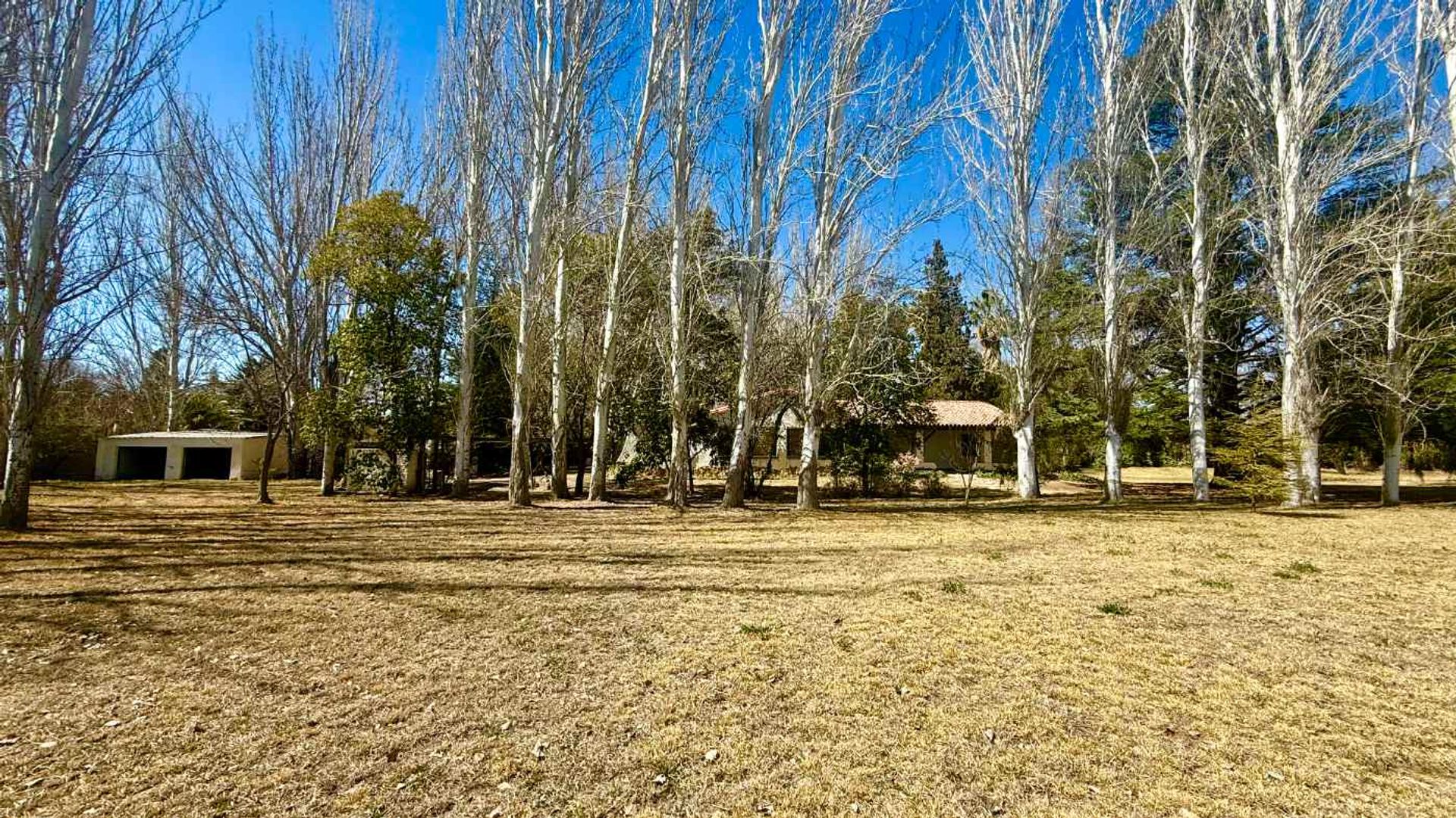 Lote en Venta en Lujan de Cuyo, Mendoza