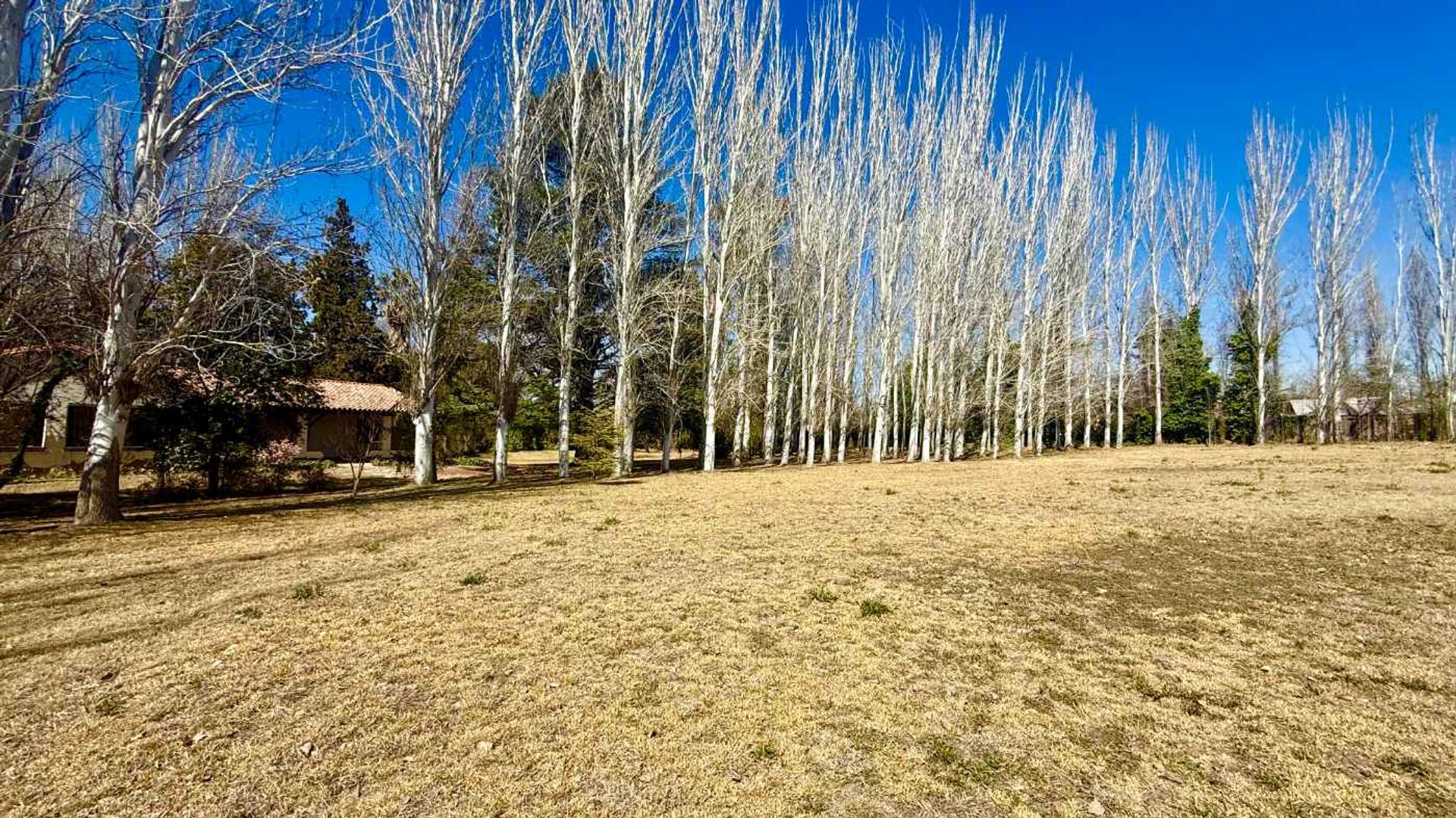 Lote en Venta en Lujan de Cuyo, Mendoza