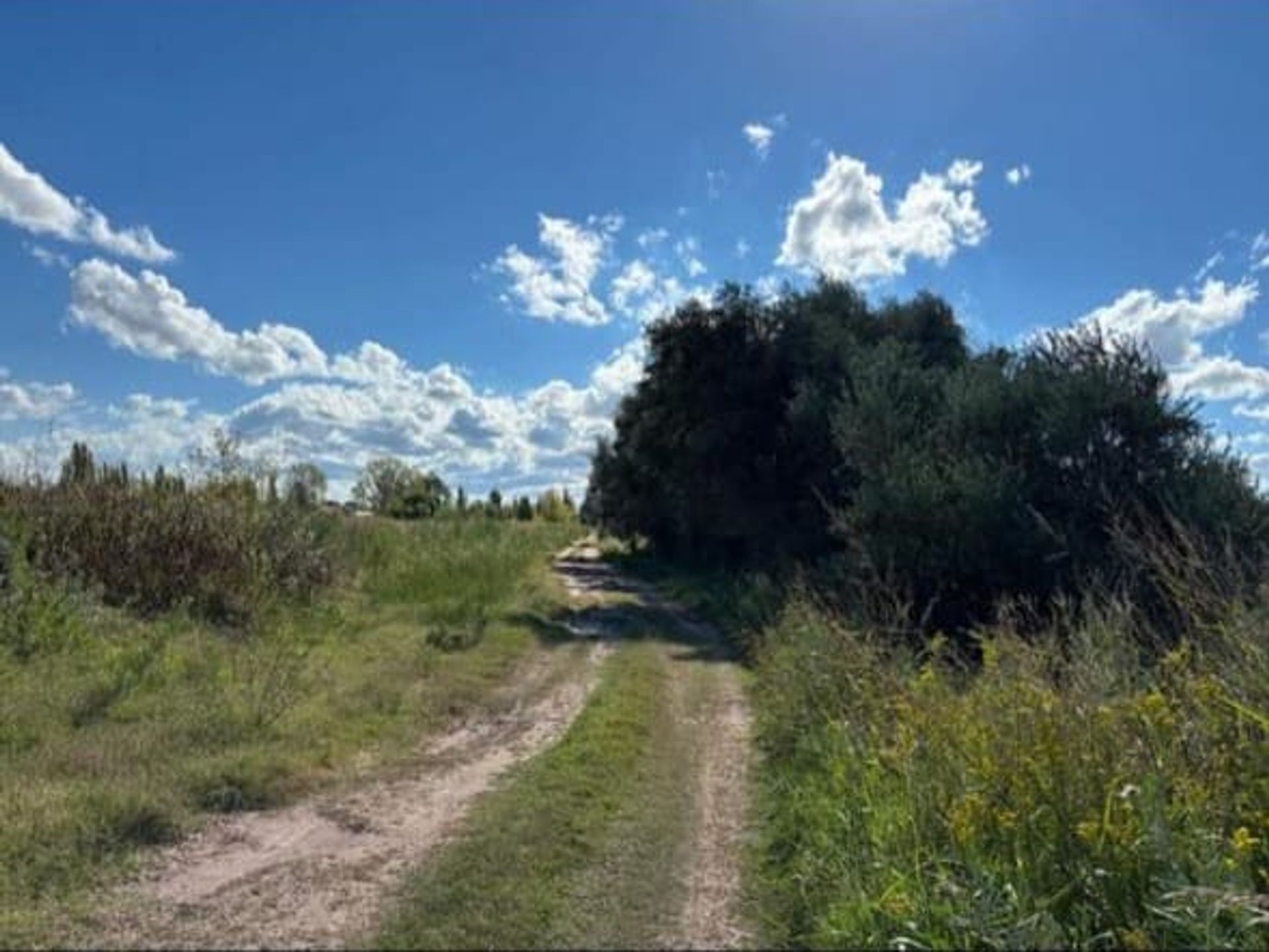 Campo en Venta en San Rafael, Mendoza