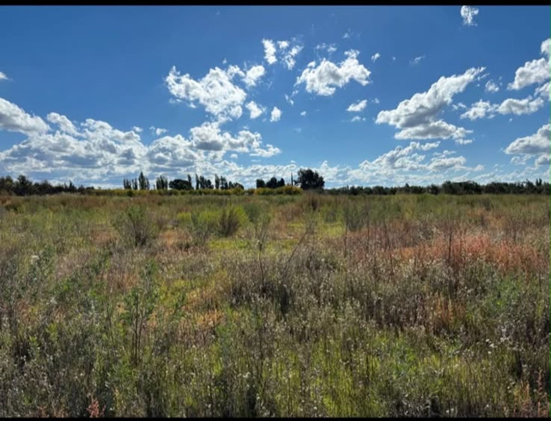 Campo en Venta en San Rafael, Mendoza