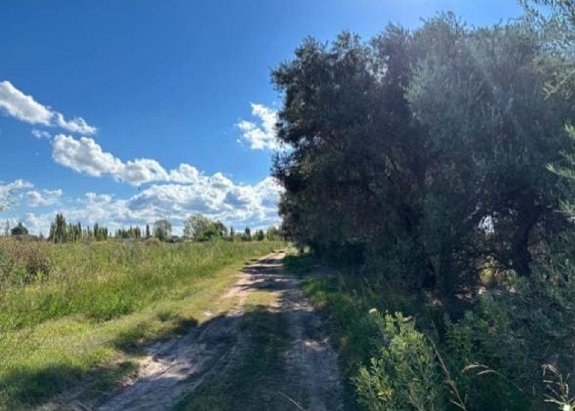 Campo en Venta en San Rafael, Mendoza