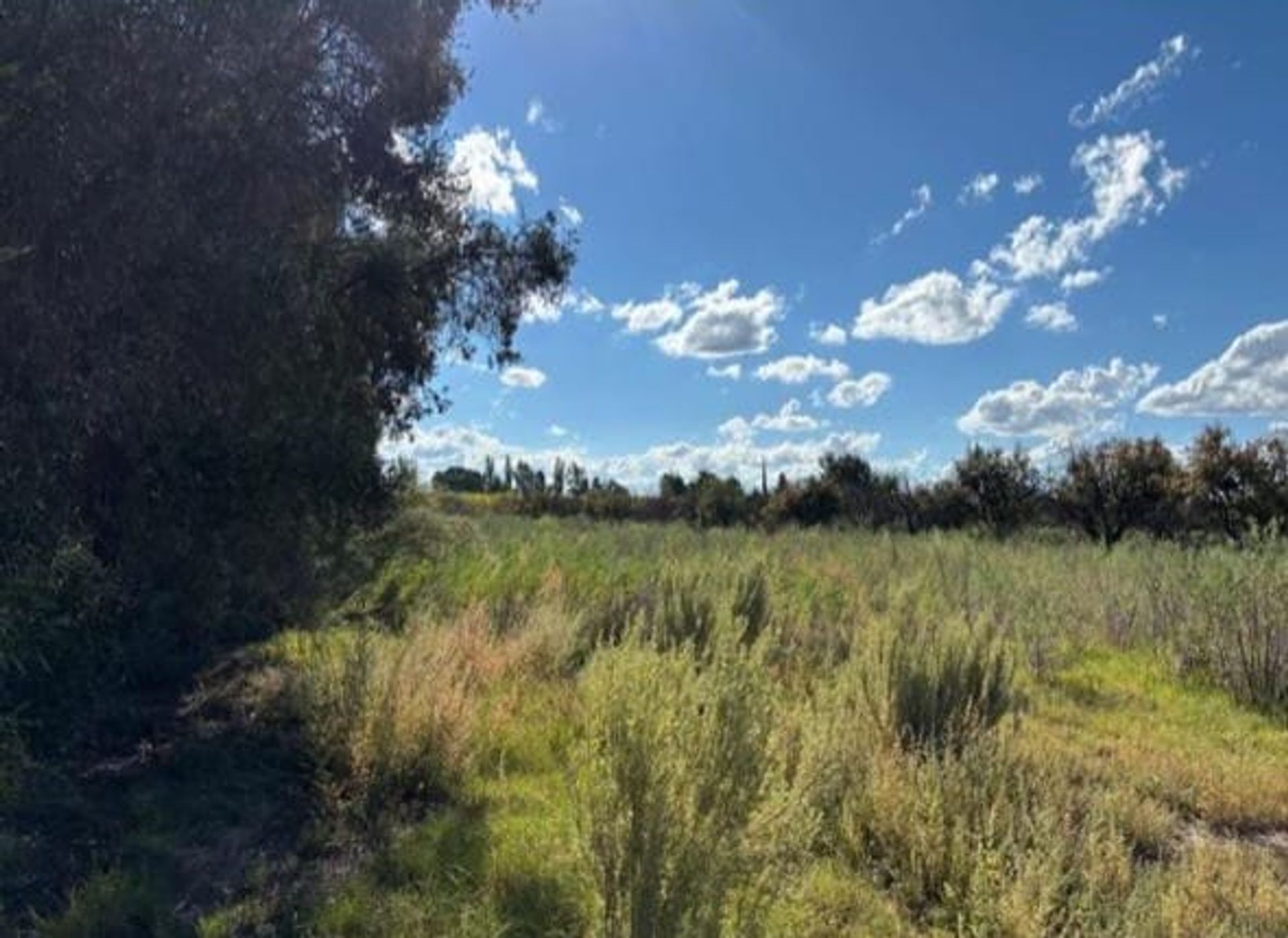 Campo en Venta en San Rafael, Mendoza