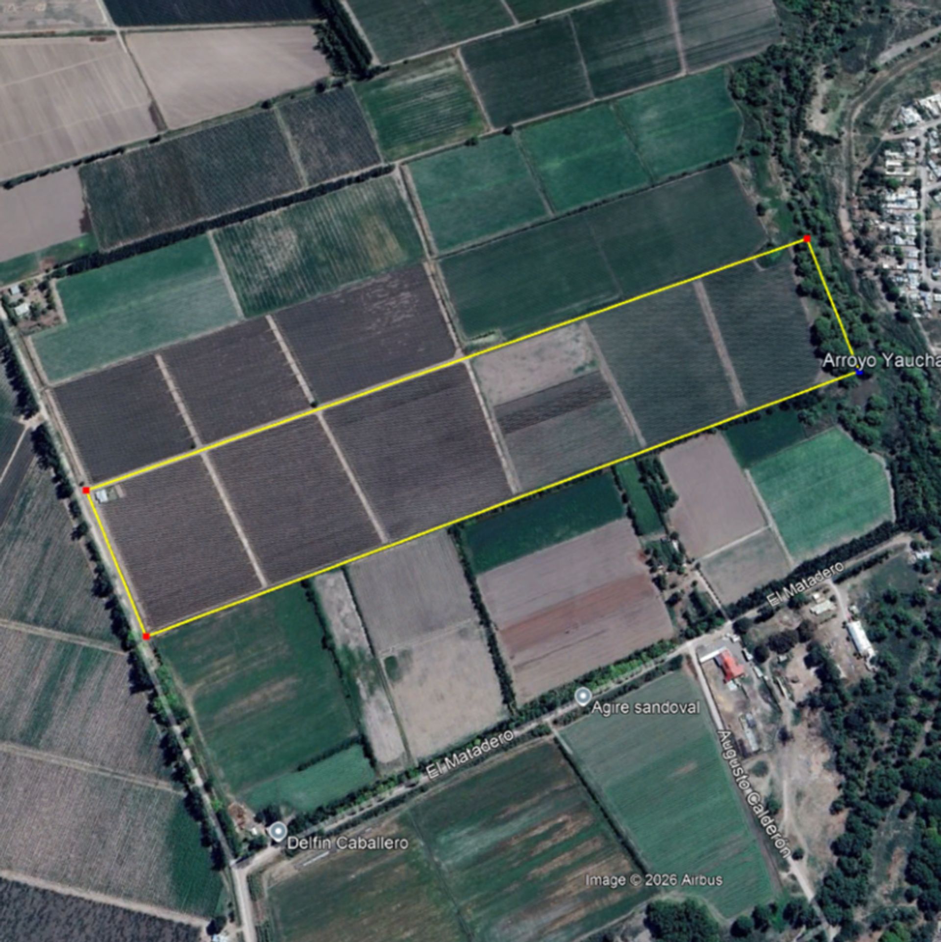 Campo en Venta en San Carlos, Mendoza