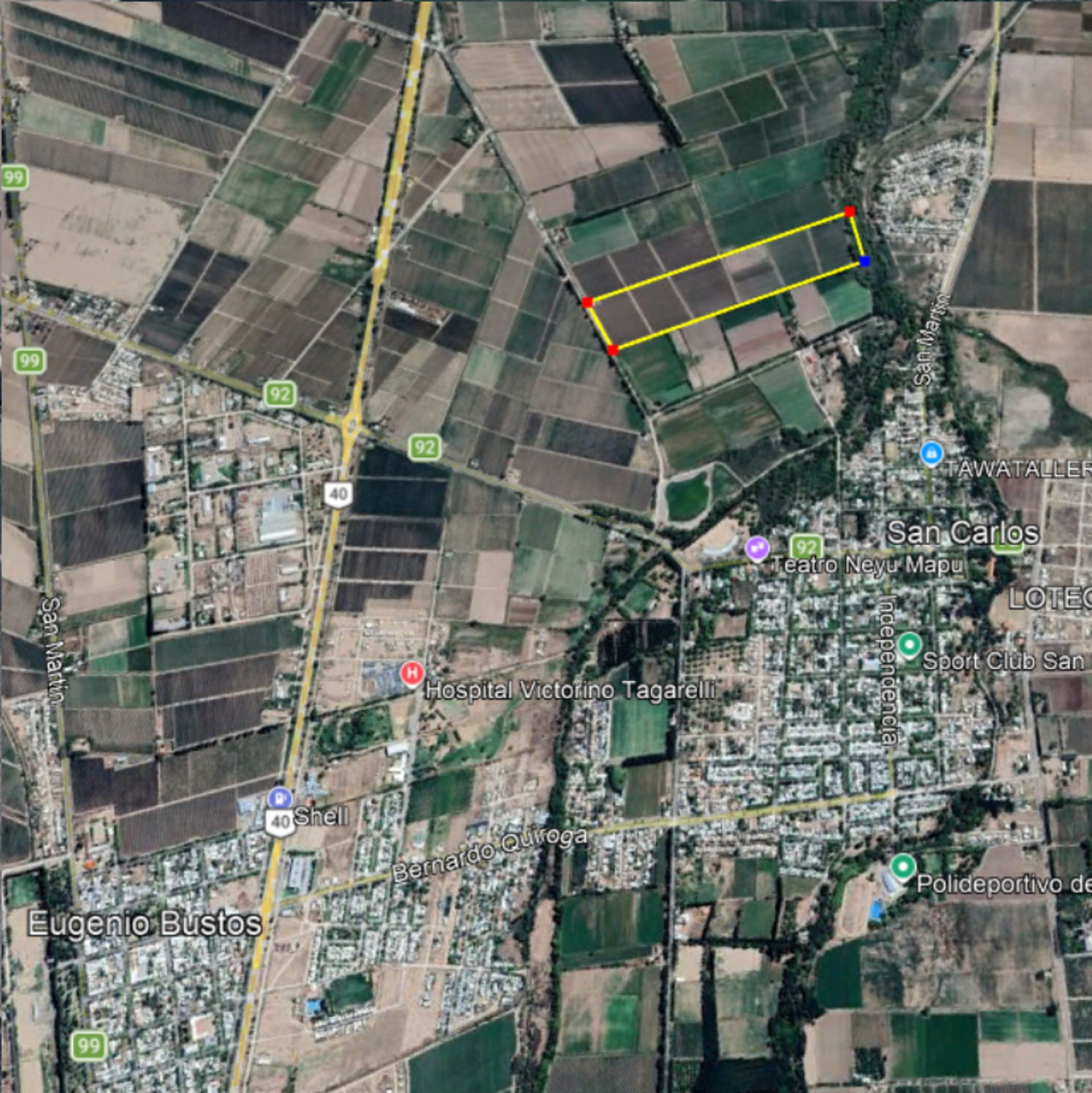 Campo en Venta en San Carlos, Mendoza