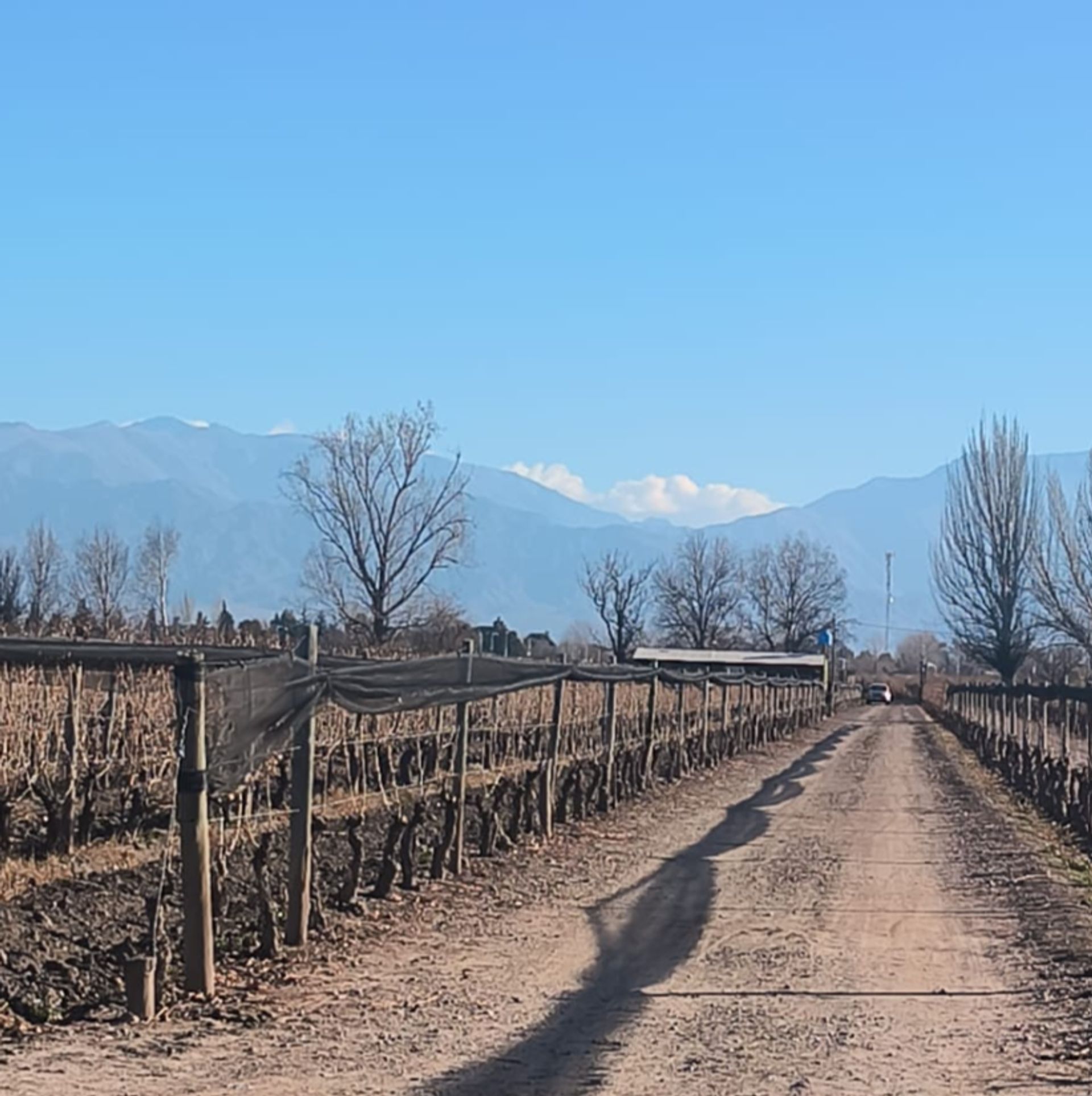 Campo en Venta en San Carlos, Mendoza