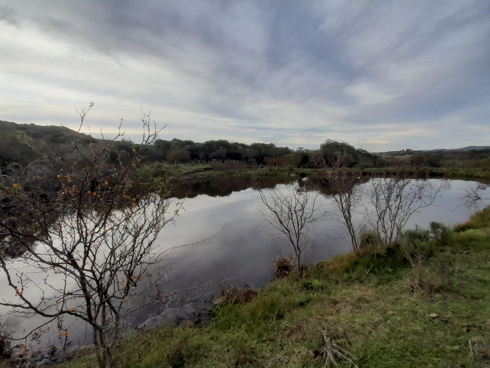 VENTA CAMPO TACUAREMBÓ 243 HECTAREAS - 7