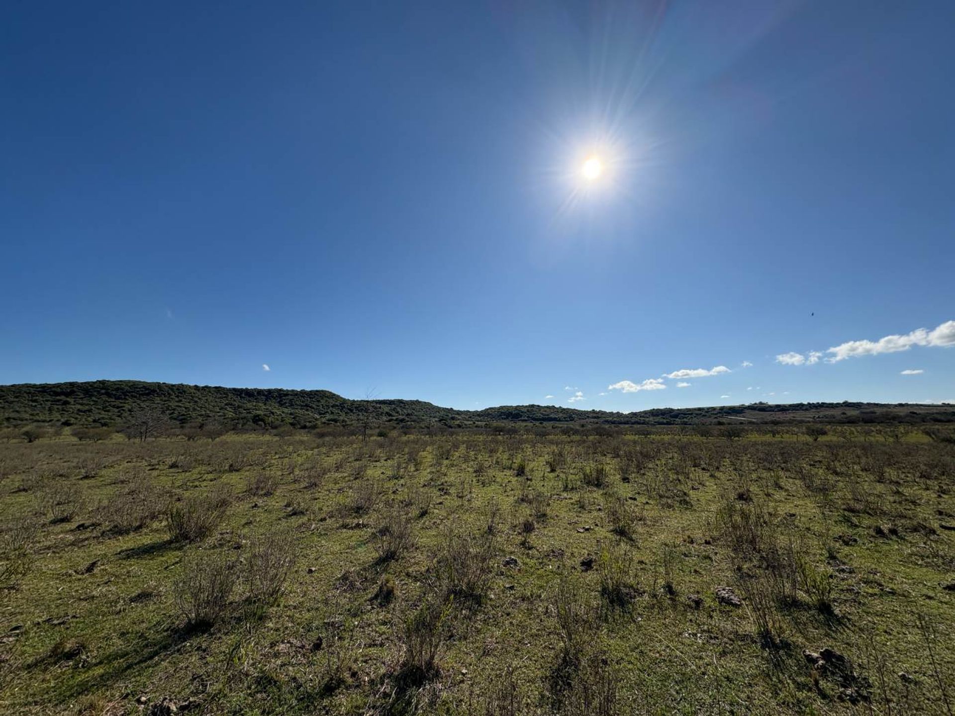 VENTA CAMPO TACUAREMBÓ 243 HECTAREAS - 4