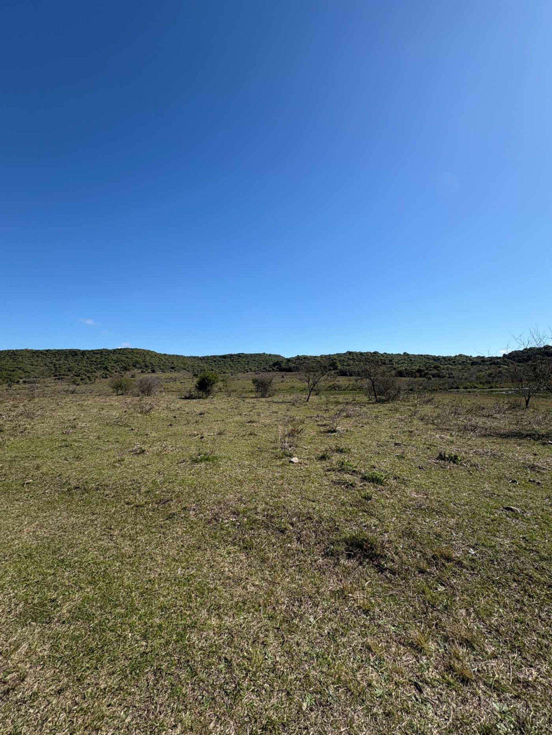 VENTA CAMPO TACUAREMBÓ 243 HECTAREAS - 3