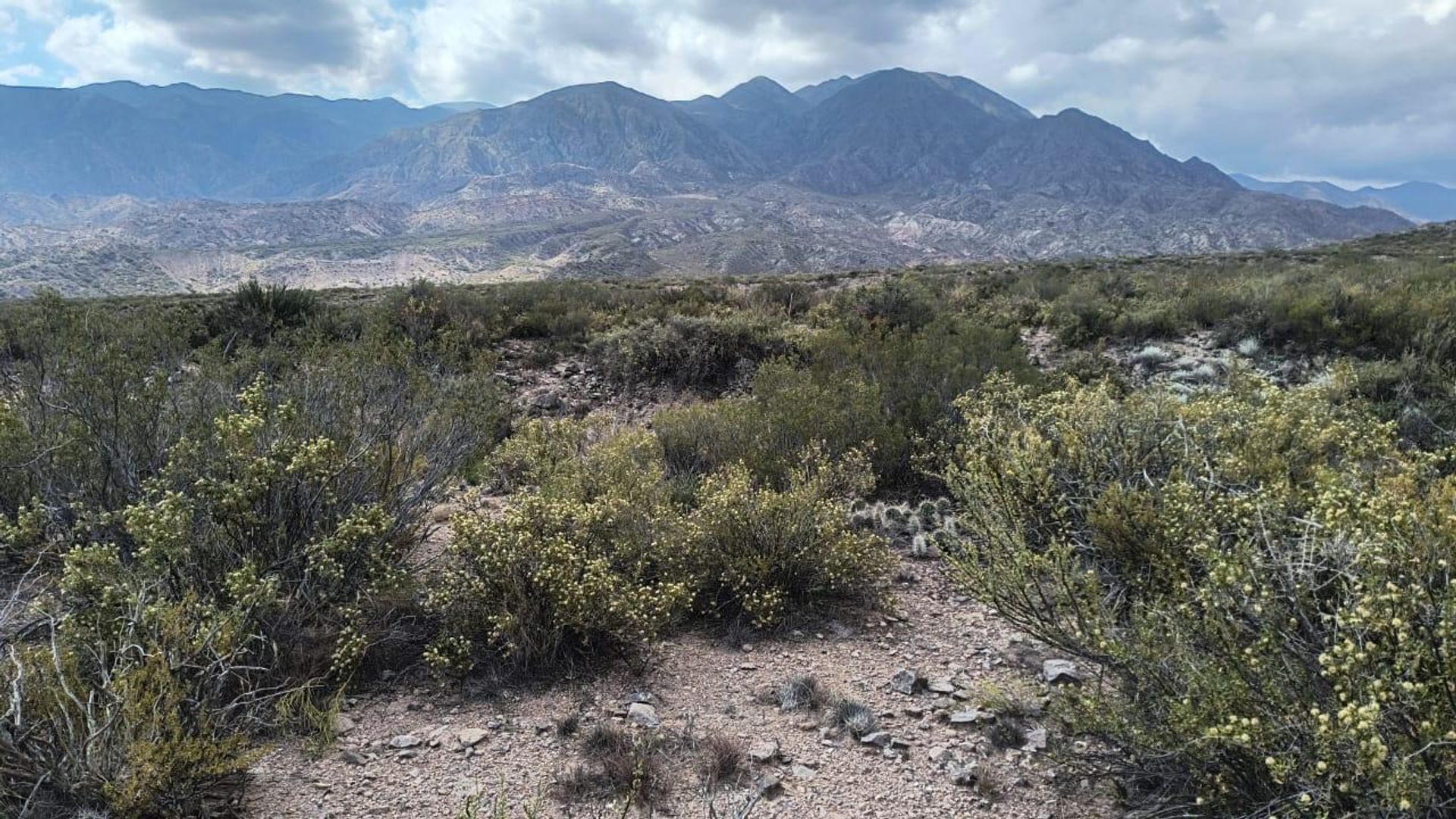 Lote en Venta en Lujan de Cuyo, Mendoza