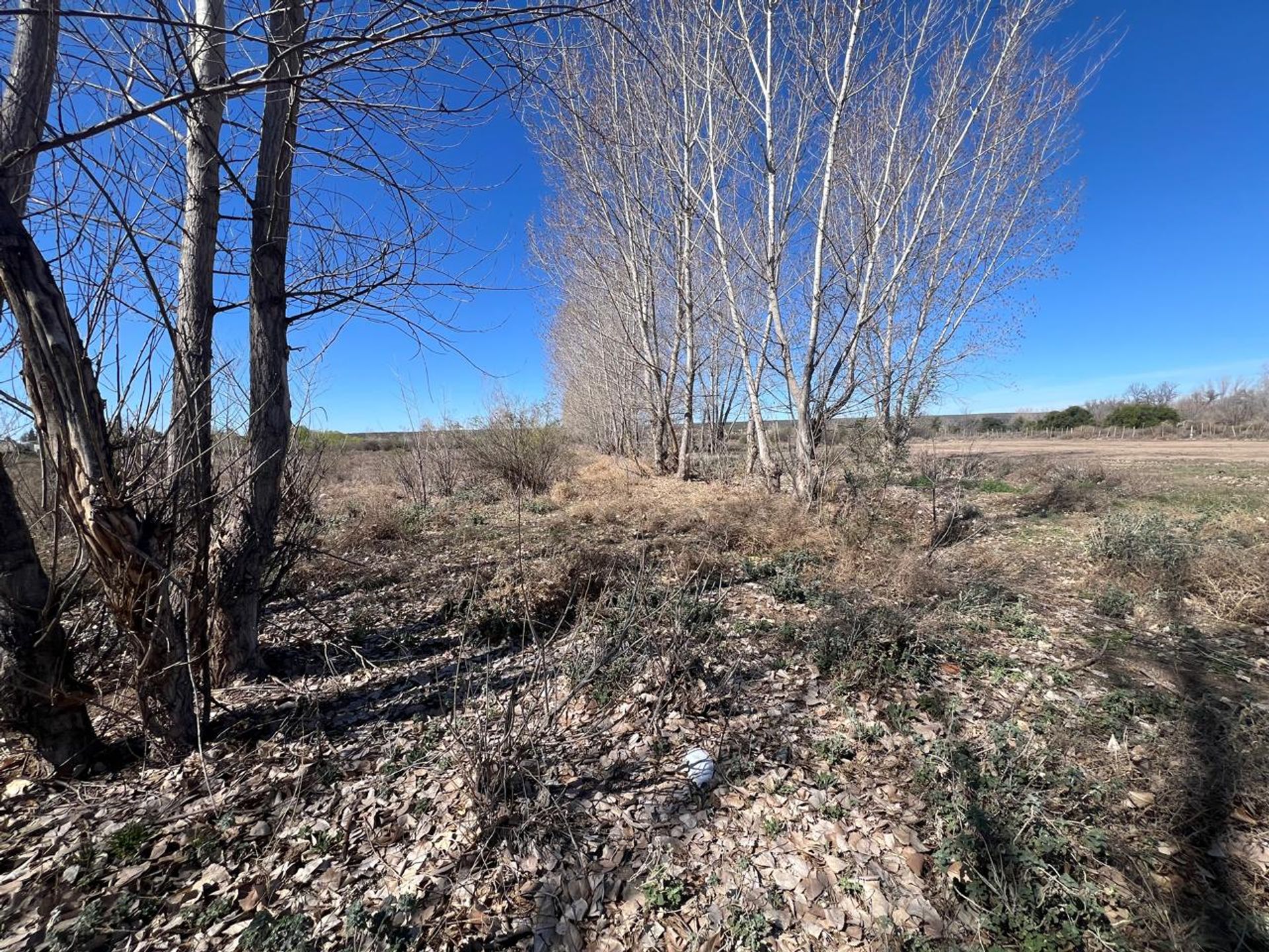 Lote en Venta en Tunuyan, Mendoza
