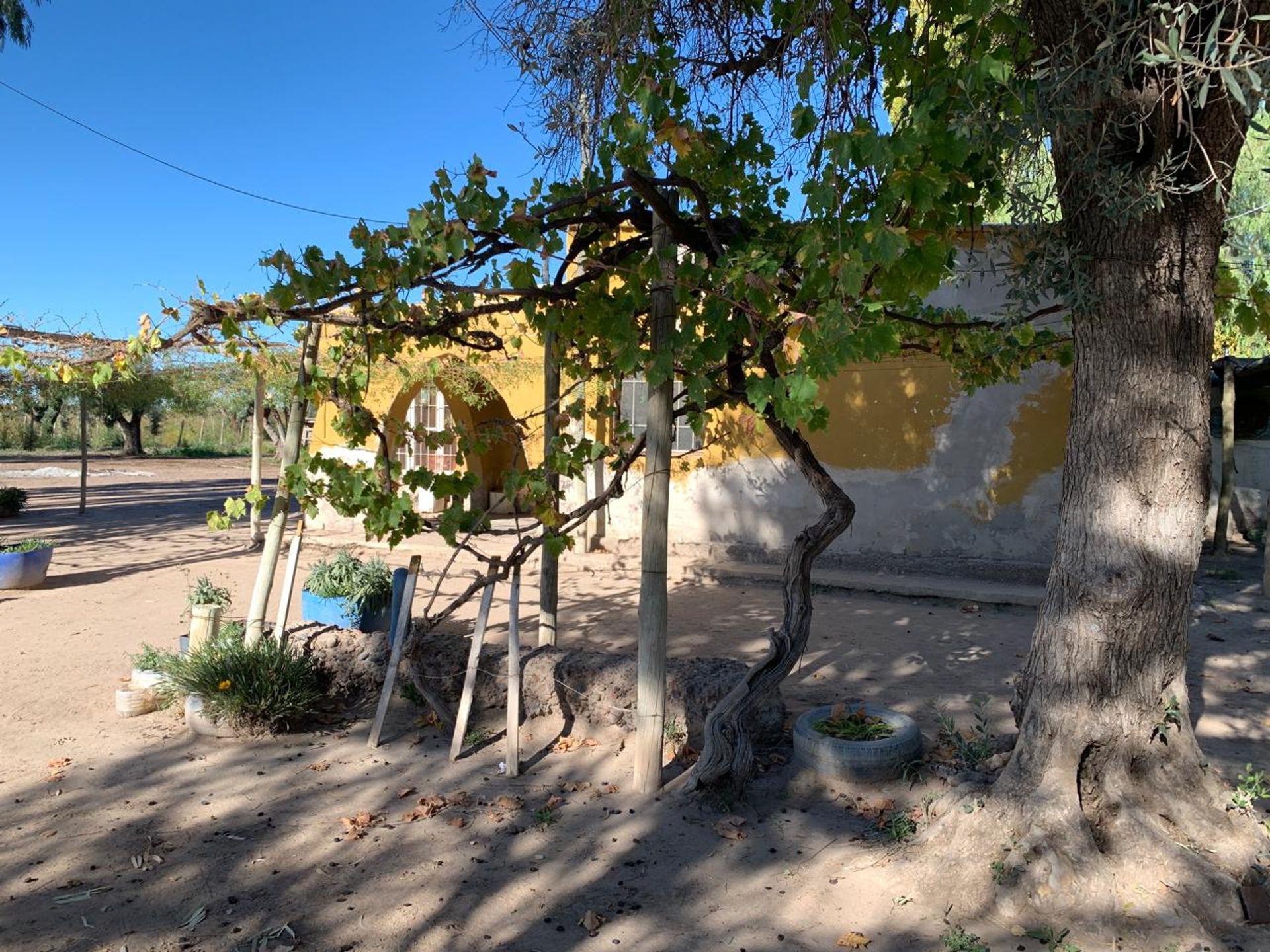 Campo en Venta en San Martin, Mendoza