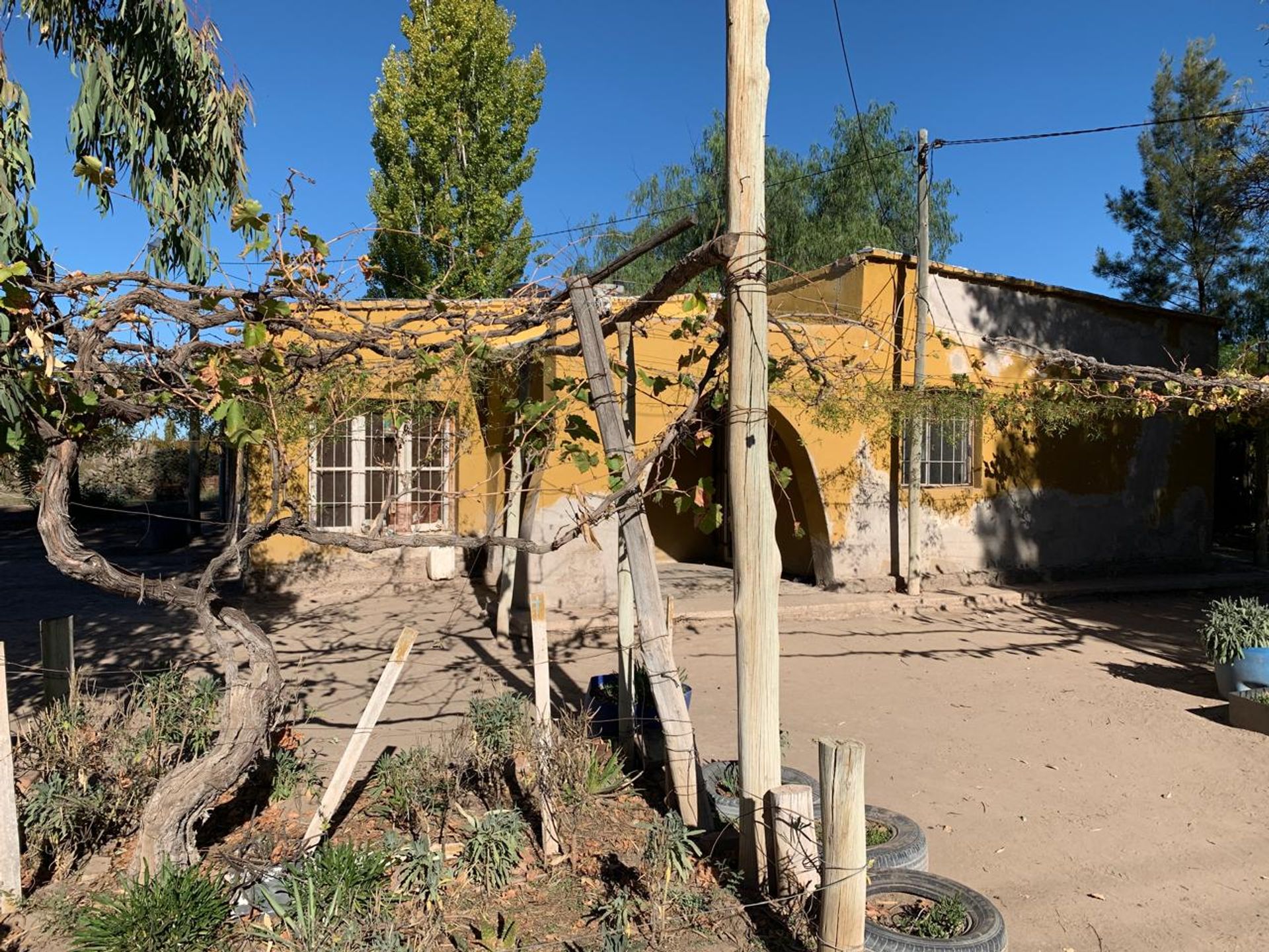 Campo en Venta en San Martin, Mendoza