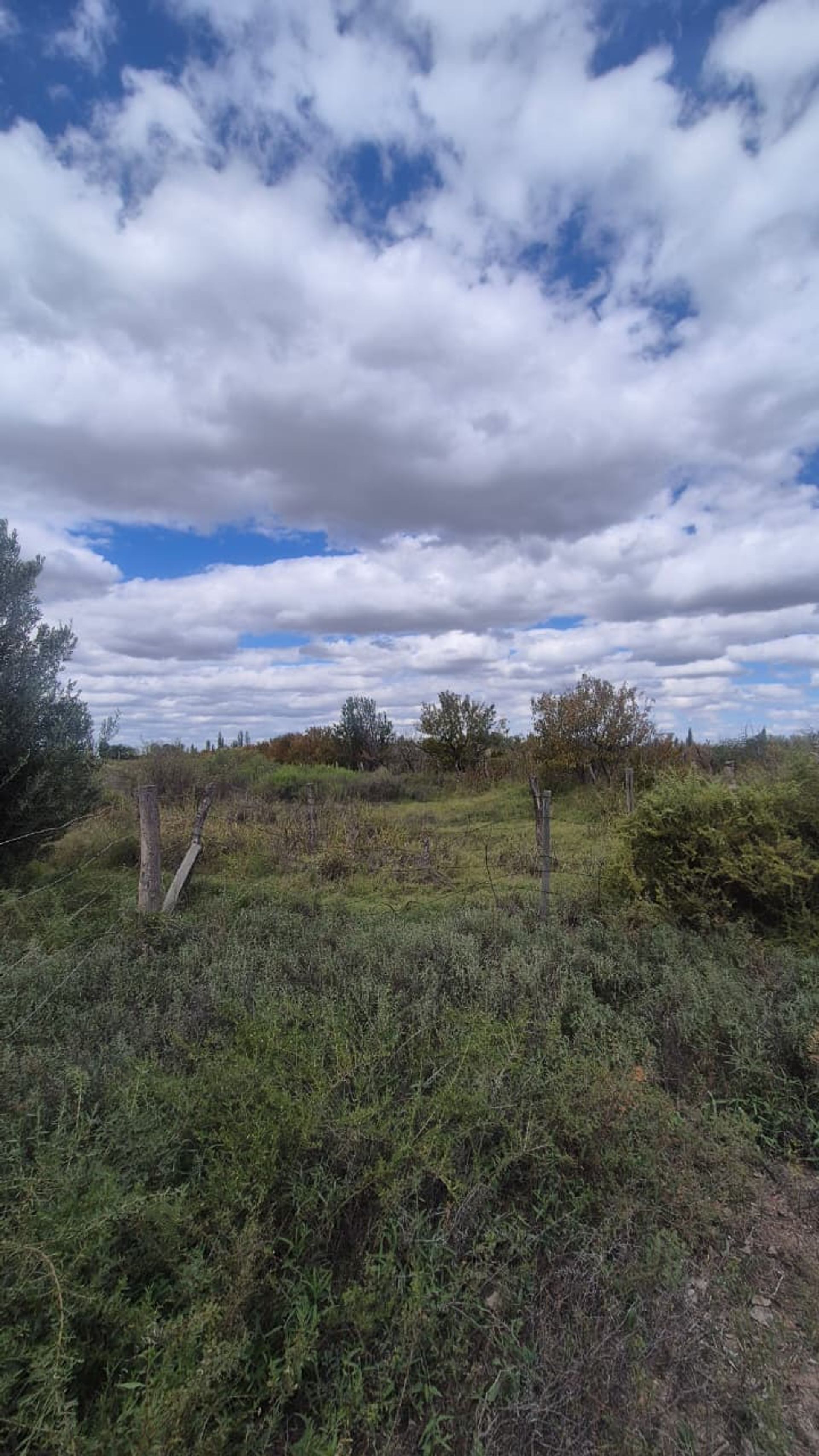Campo en Venta en San Martin, Mendoza