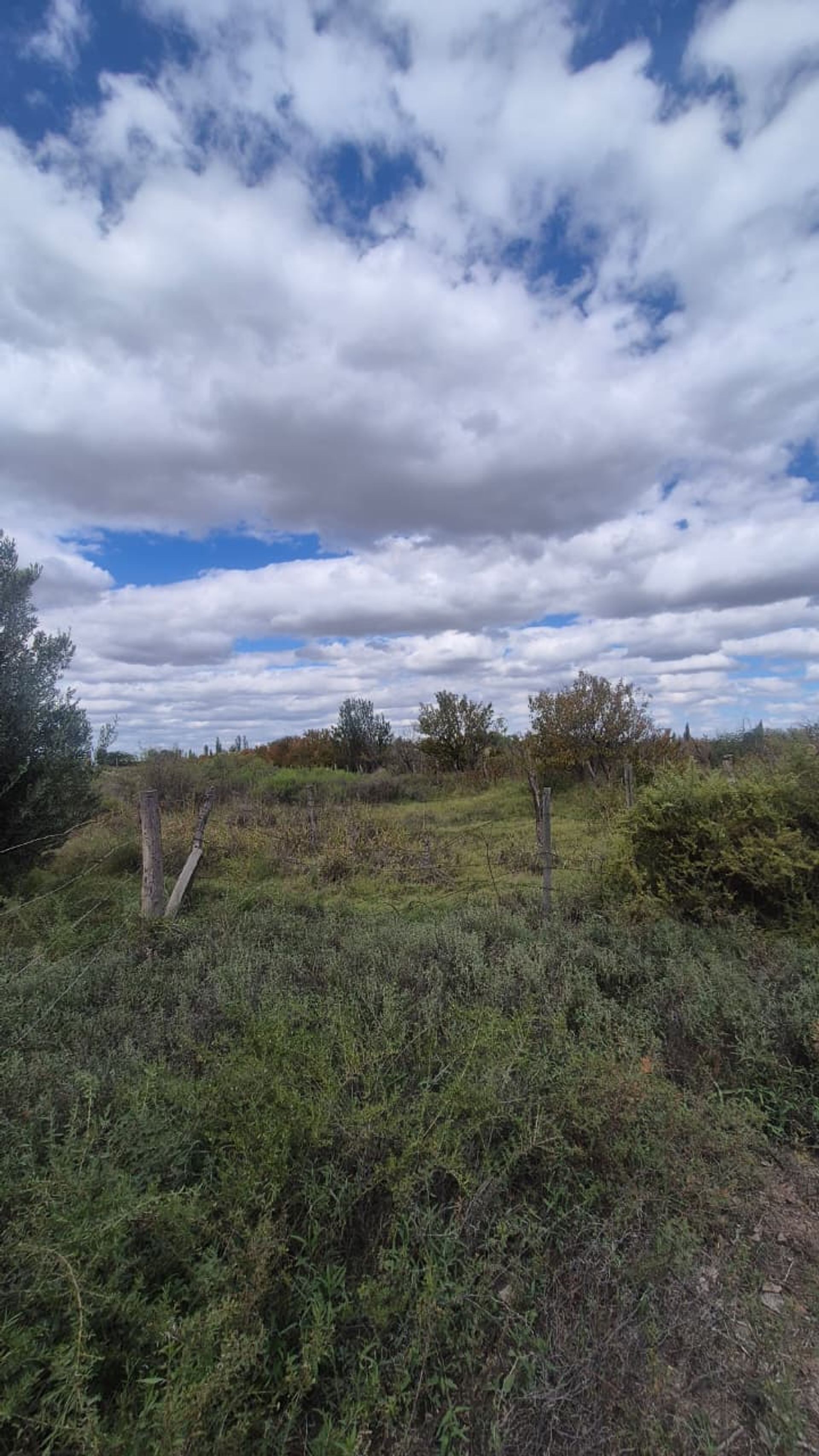 Campo en Venta en San Martin, Mendoza