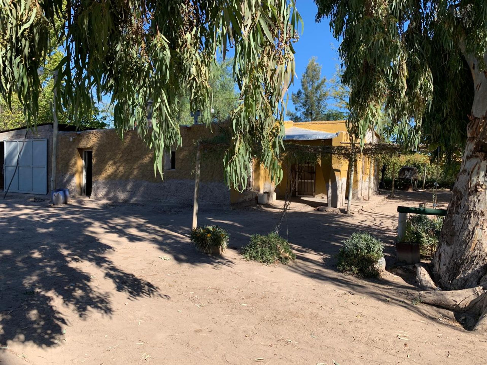 Campo en Venta en San Martin, Mendoza