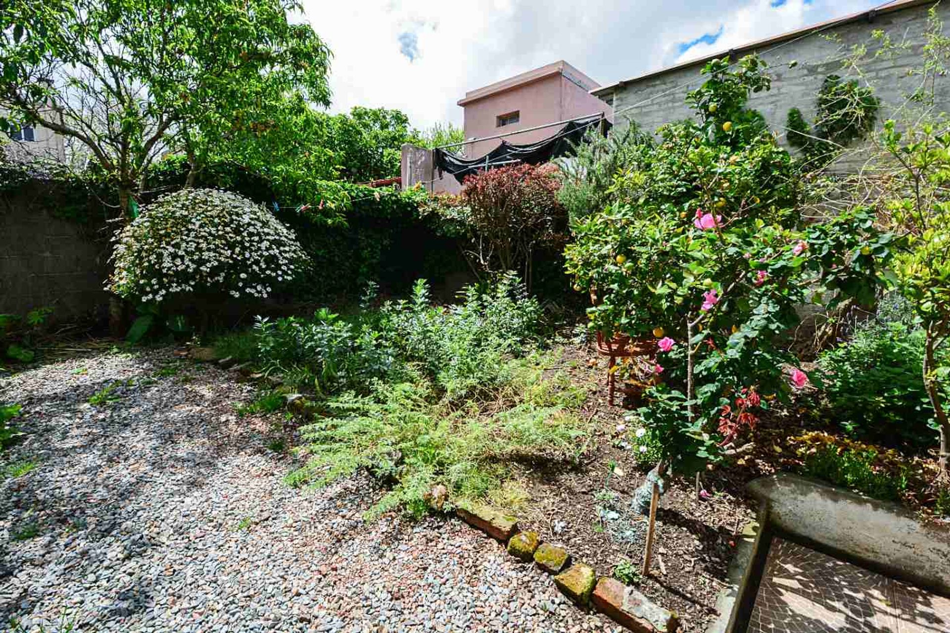 VENTA DE 2 APARAMENTOS CON PATIO - BELVEDERE - 9