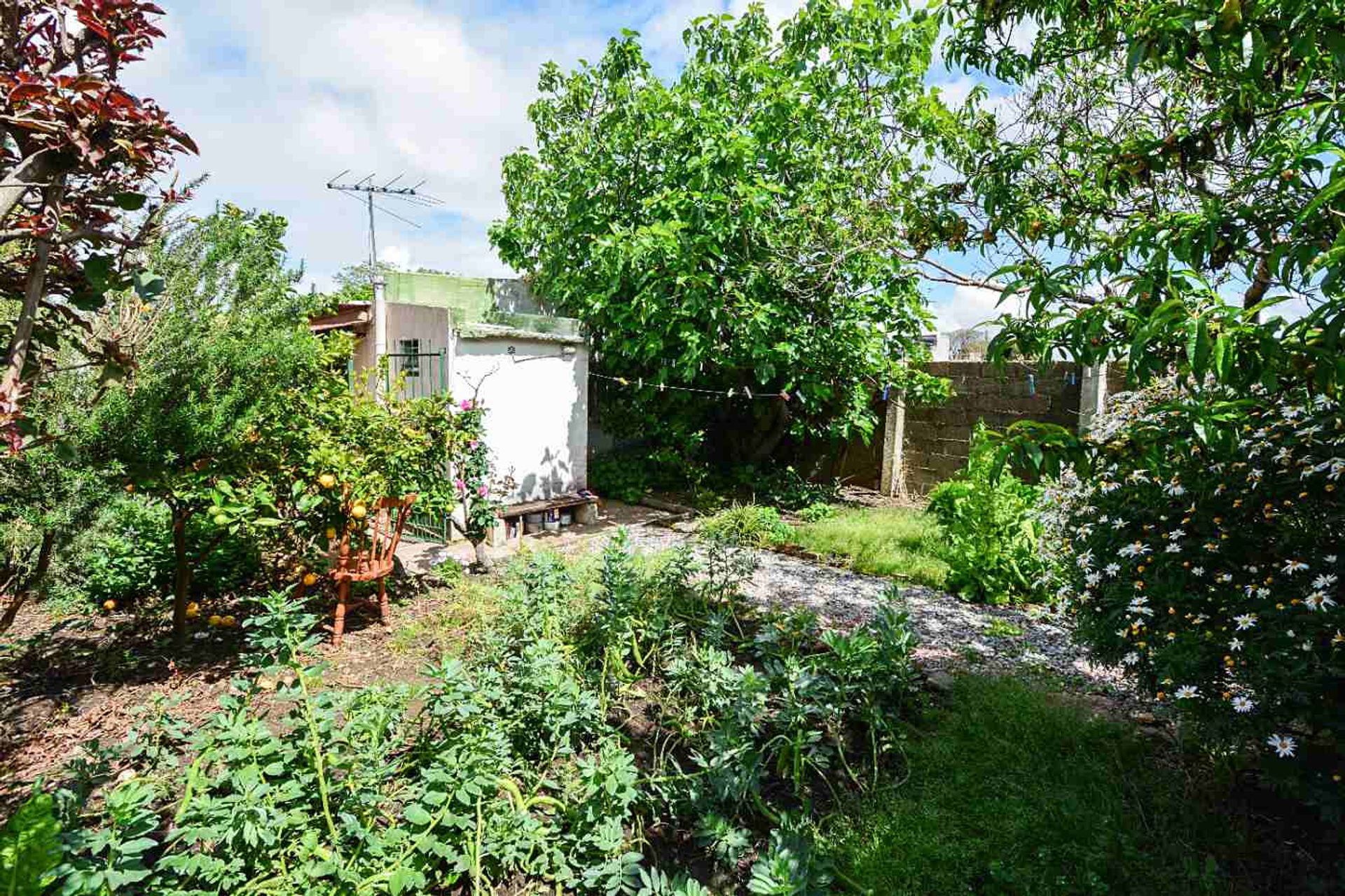 VENTA DE 2 APARAMENTOS CON PATIO - BELVEDERE - 10