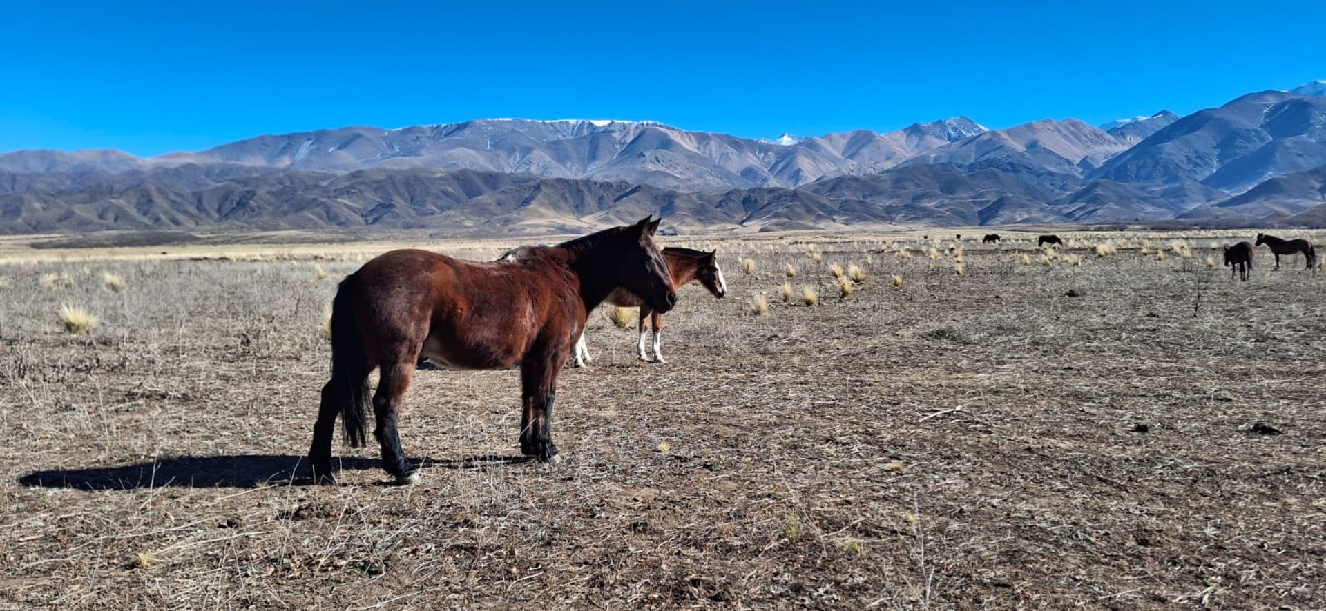Lote en Venta en Tupungato, Mendoza