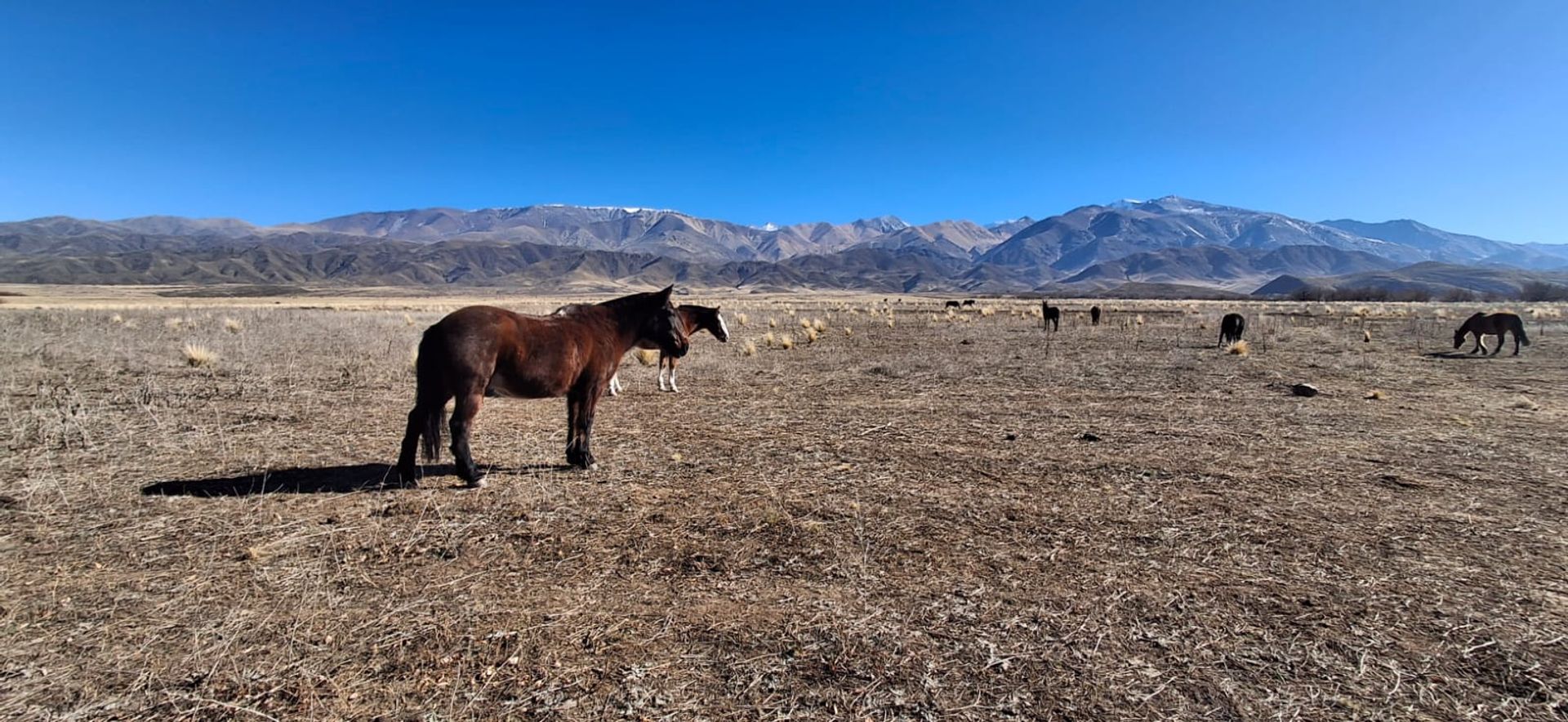 Lote en Venta en Tupungato, Mendoza