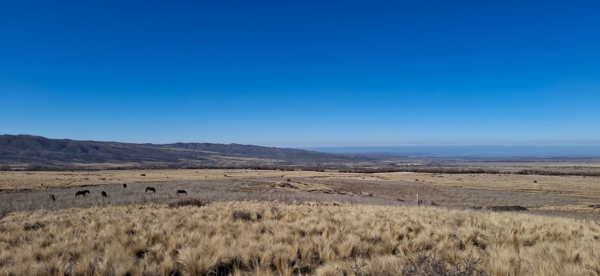 Lote en Venta en Tupungato, Mendoza