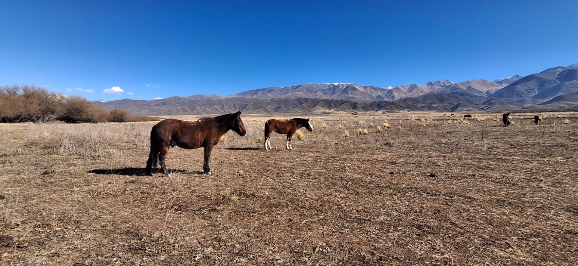 Lote en Venta en Tupungato, Mendoza