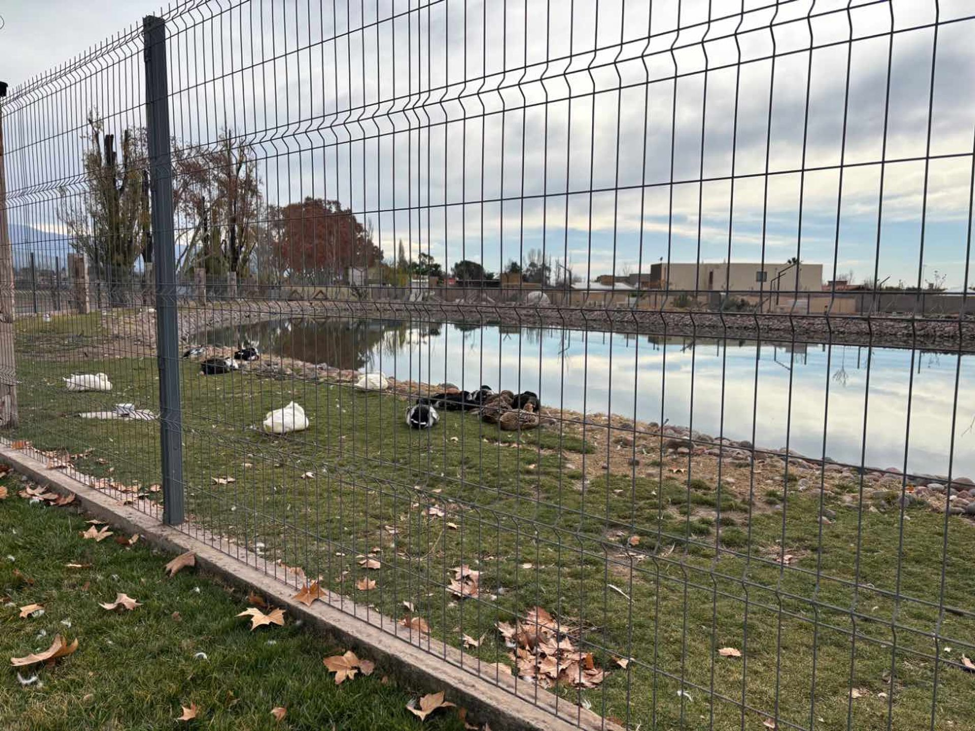 Lote en Venta en Lujan de Cuyo, Mendoza