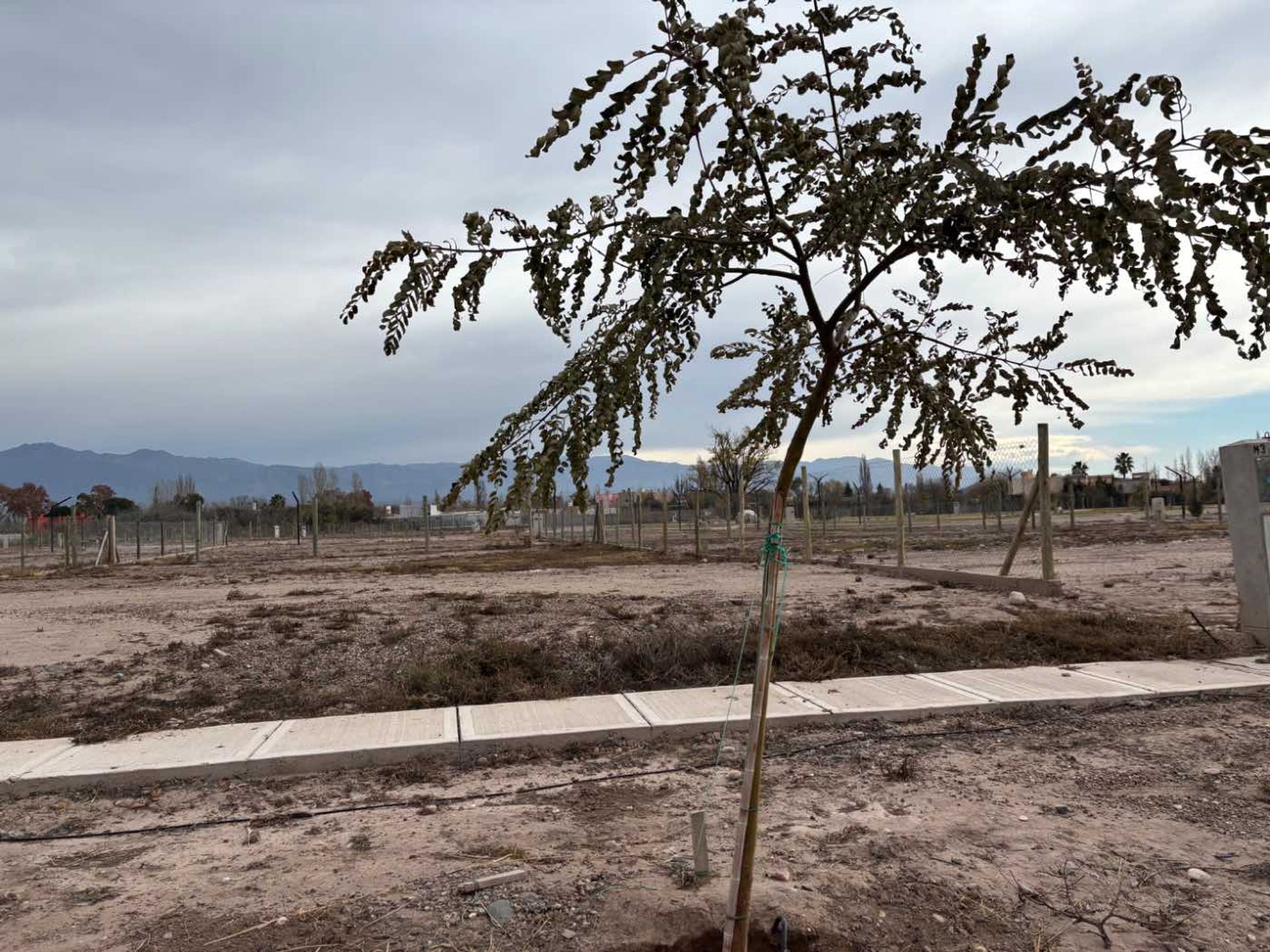 Lote en Venta en Lujan de Cuyo, Mendoza