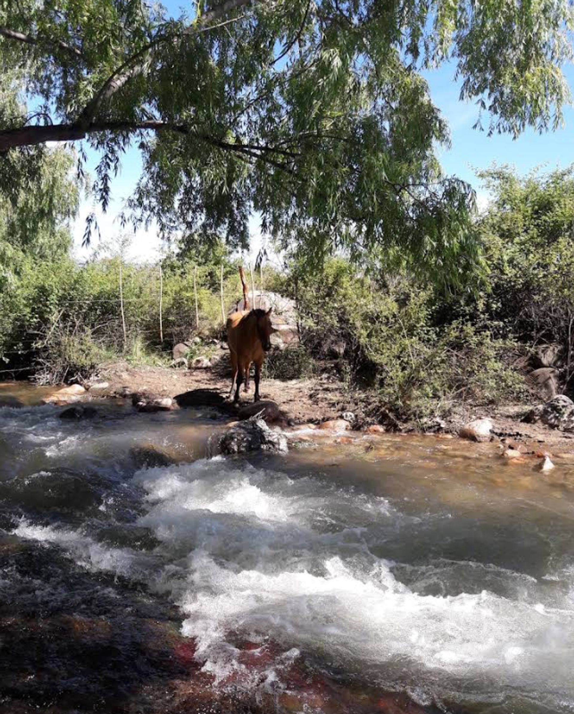Casa en Venta en Tunuyan, Mendoza