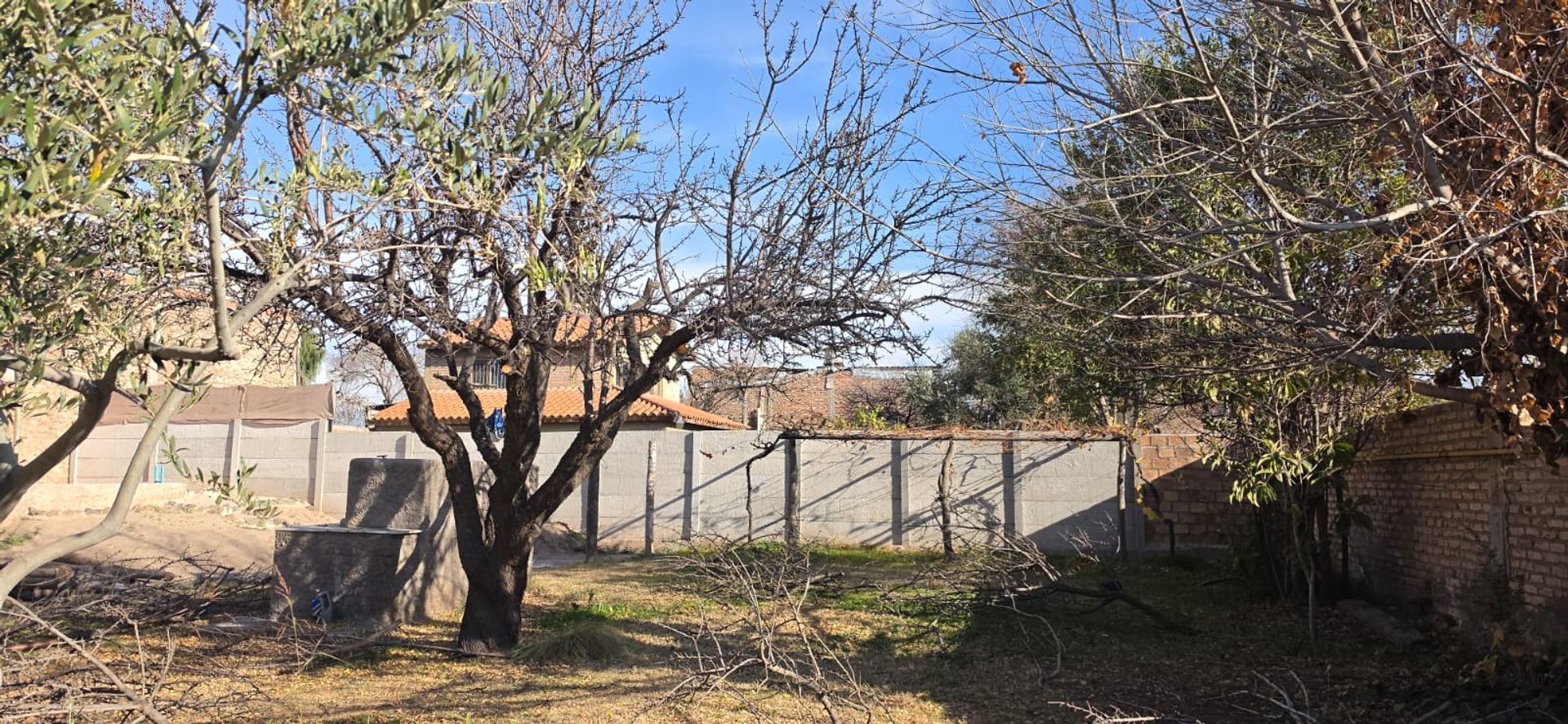 Local Comercial en Alquiler en Lujan de Cuyo, Mendoza