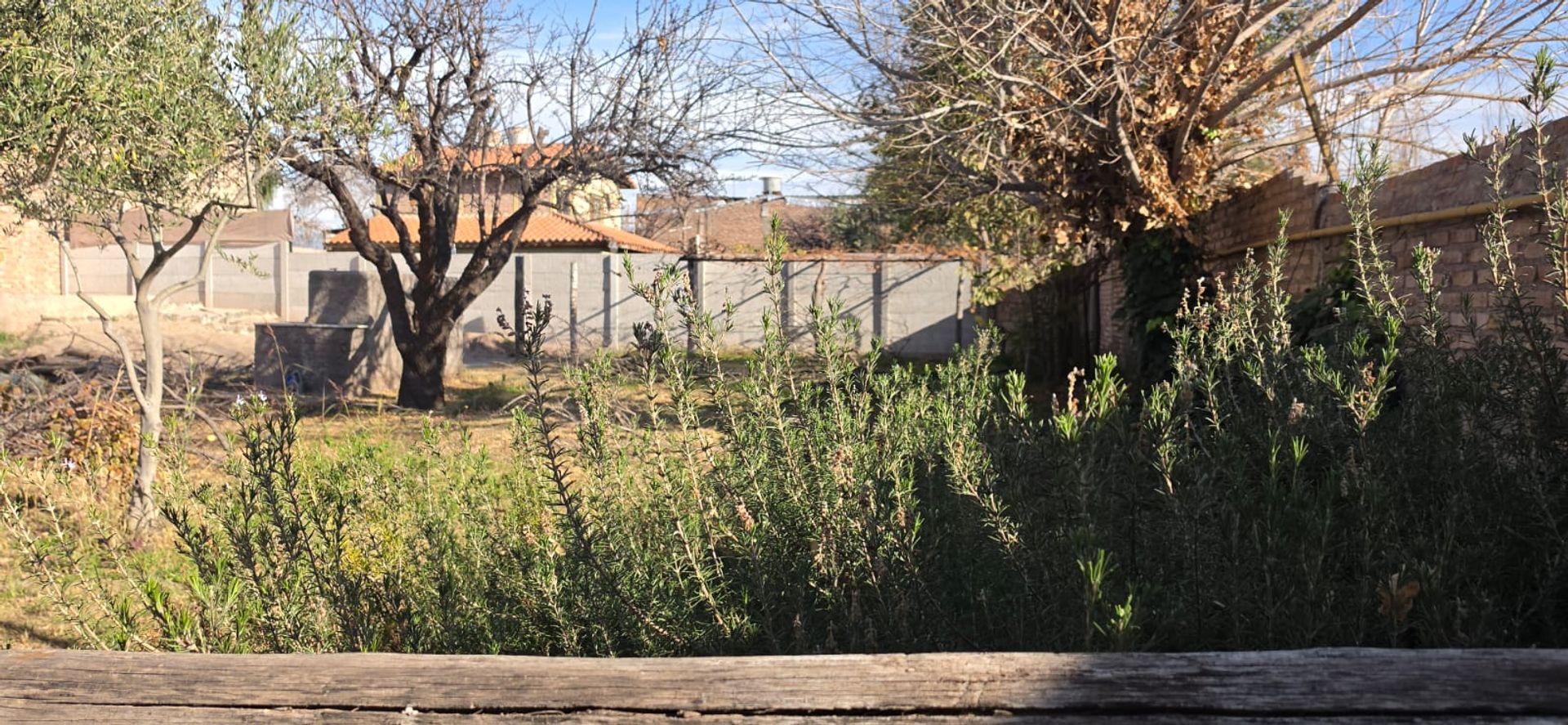 Local Comercial en Alquiler en Lujan de Cuyo, Mendoza
