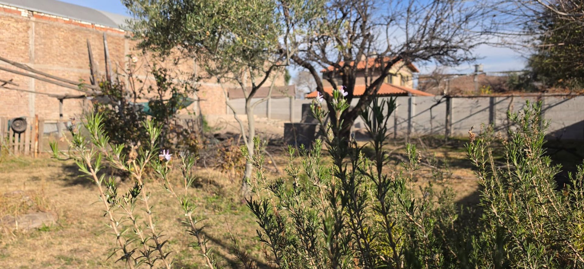 Local Comercial en Alquiler en Lujan de Cuyo, Mendoza