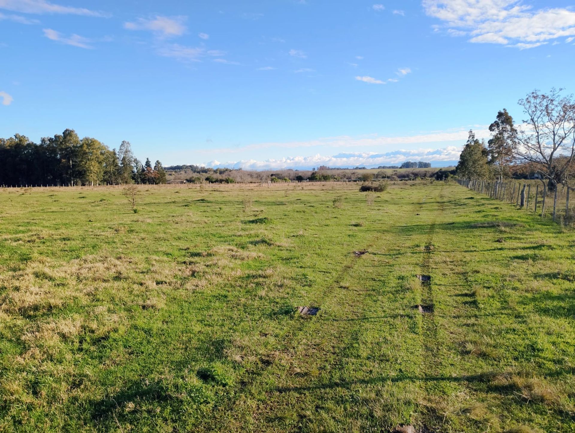 VENTA DE CHACRA 8 HAS. EN PAYSANDU - 2