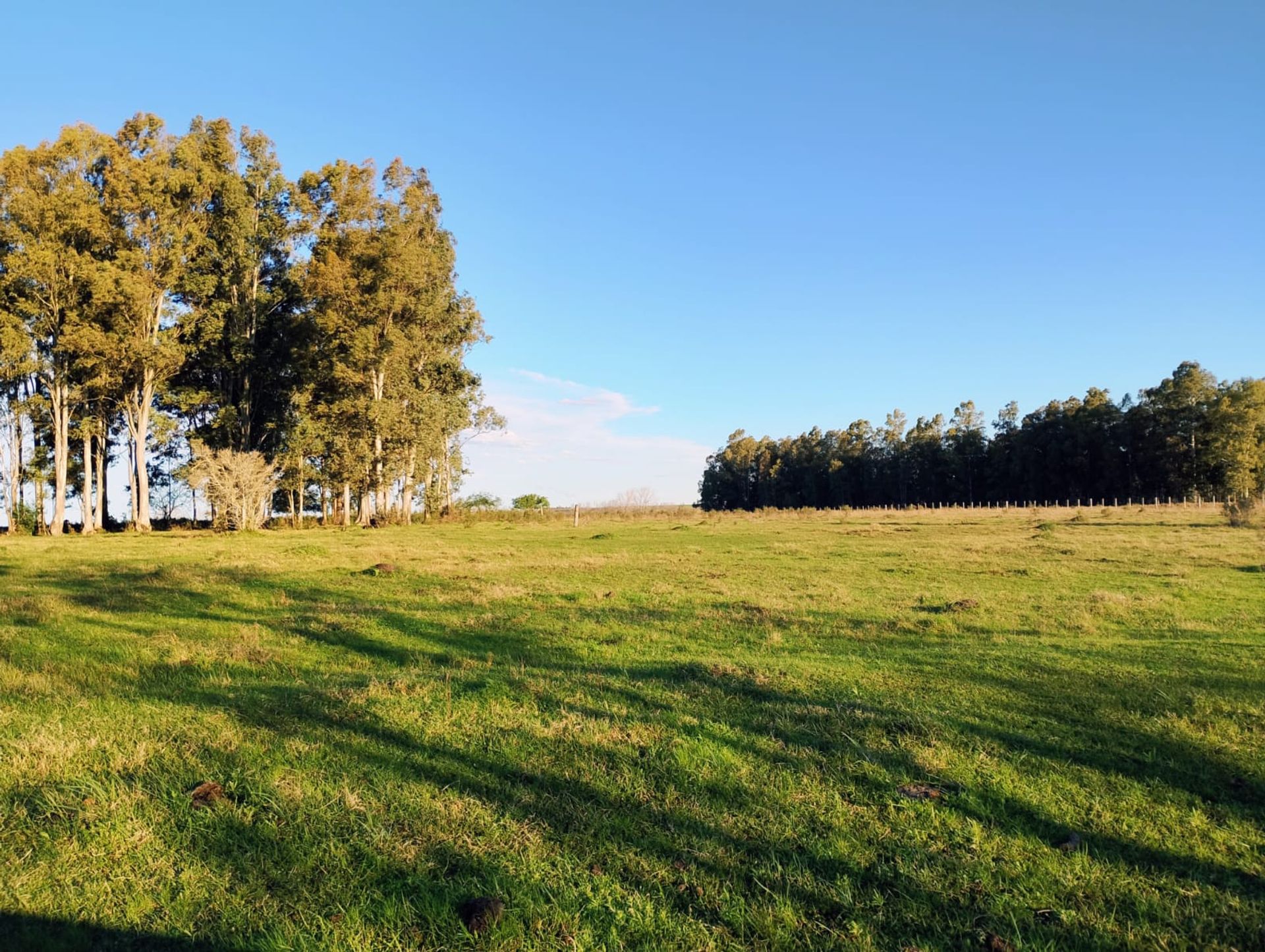 VENTA DE CHACRA 8 HAS. EN PAYSANDU - 1