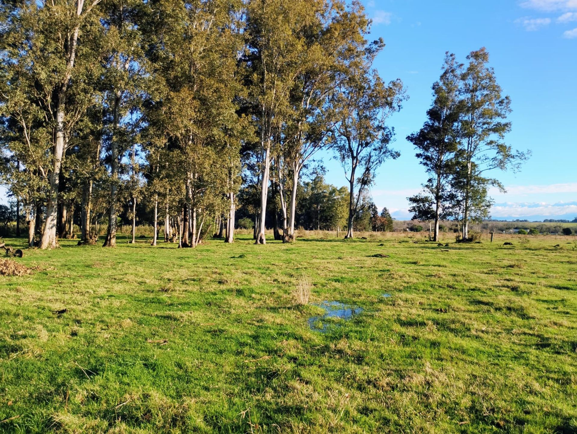 VENTA DE CHACRA 8 HAS. EN PAYSANDU - 3