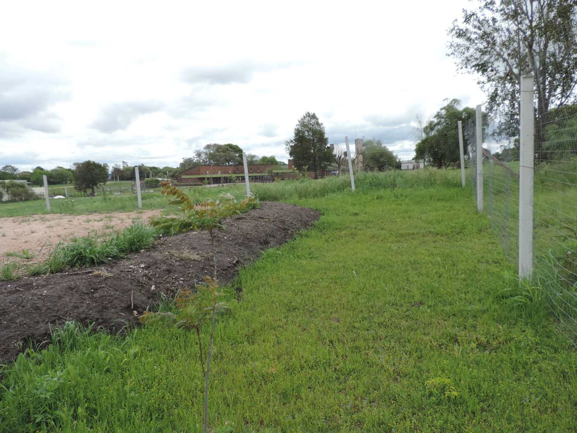 Excelente terreno con todos los servicios y platea - 10