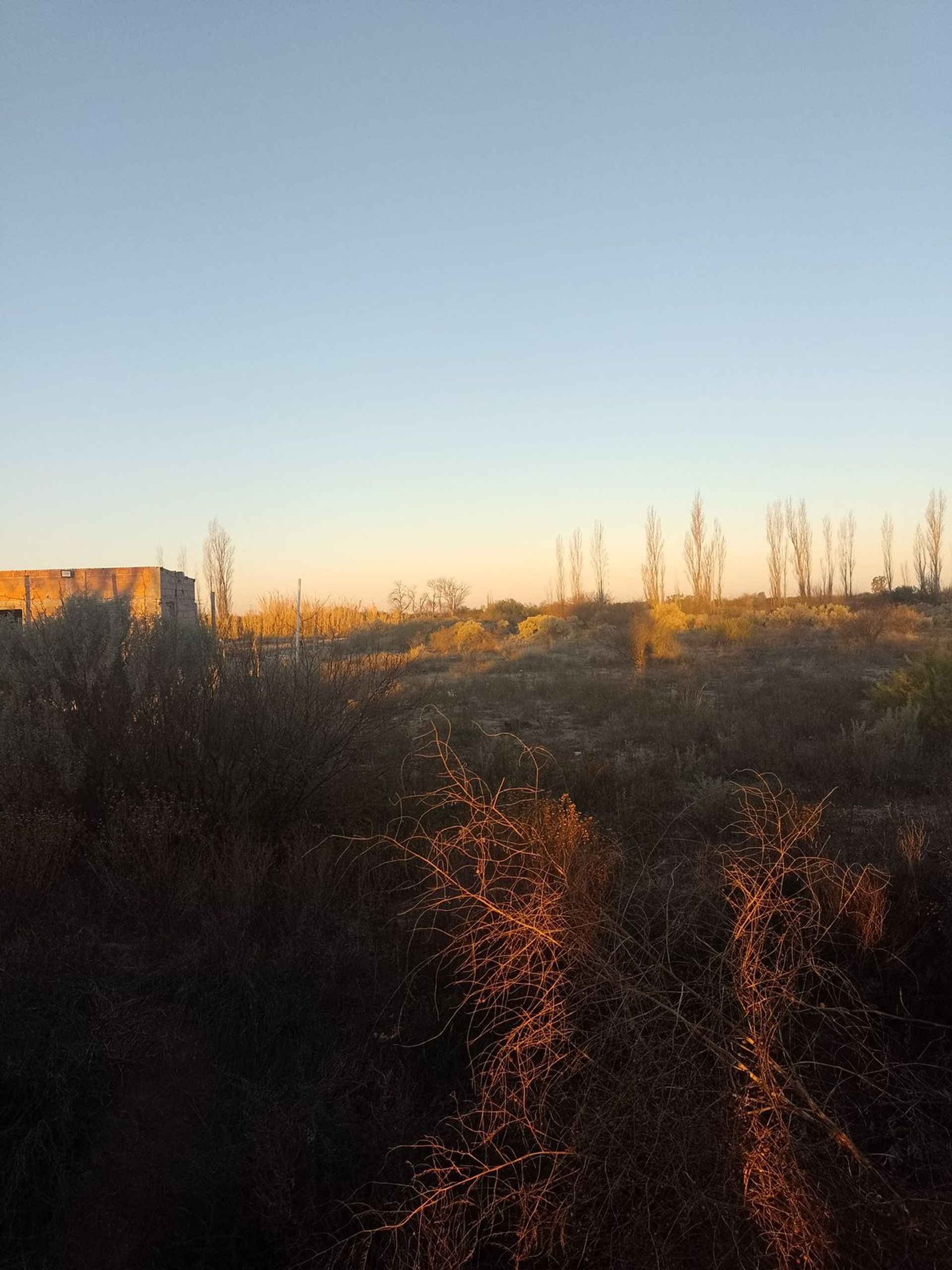 Lote en Venta en La Paz, Mendoza
