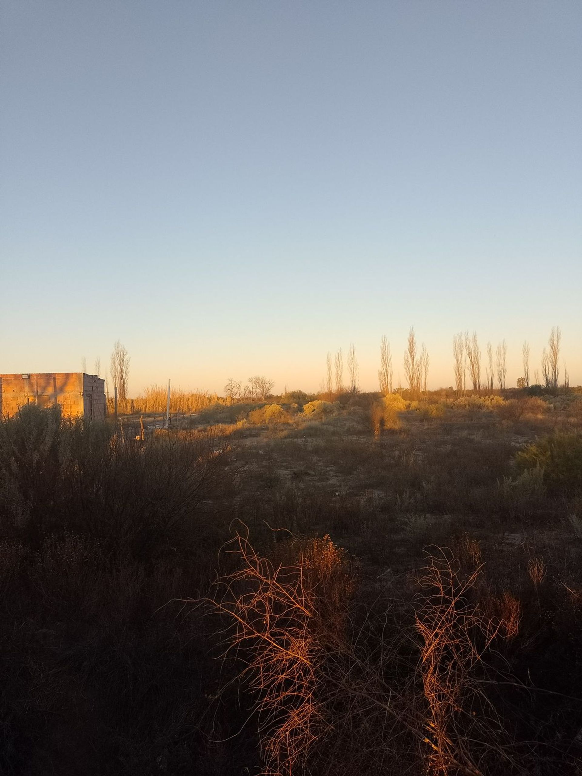 Lote en Venta en La Paz, Mendoza