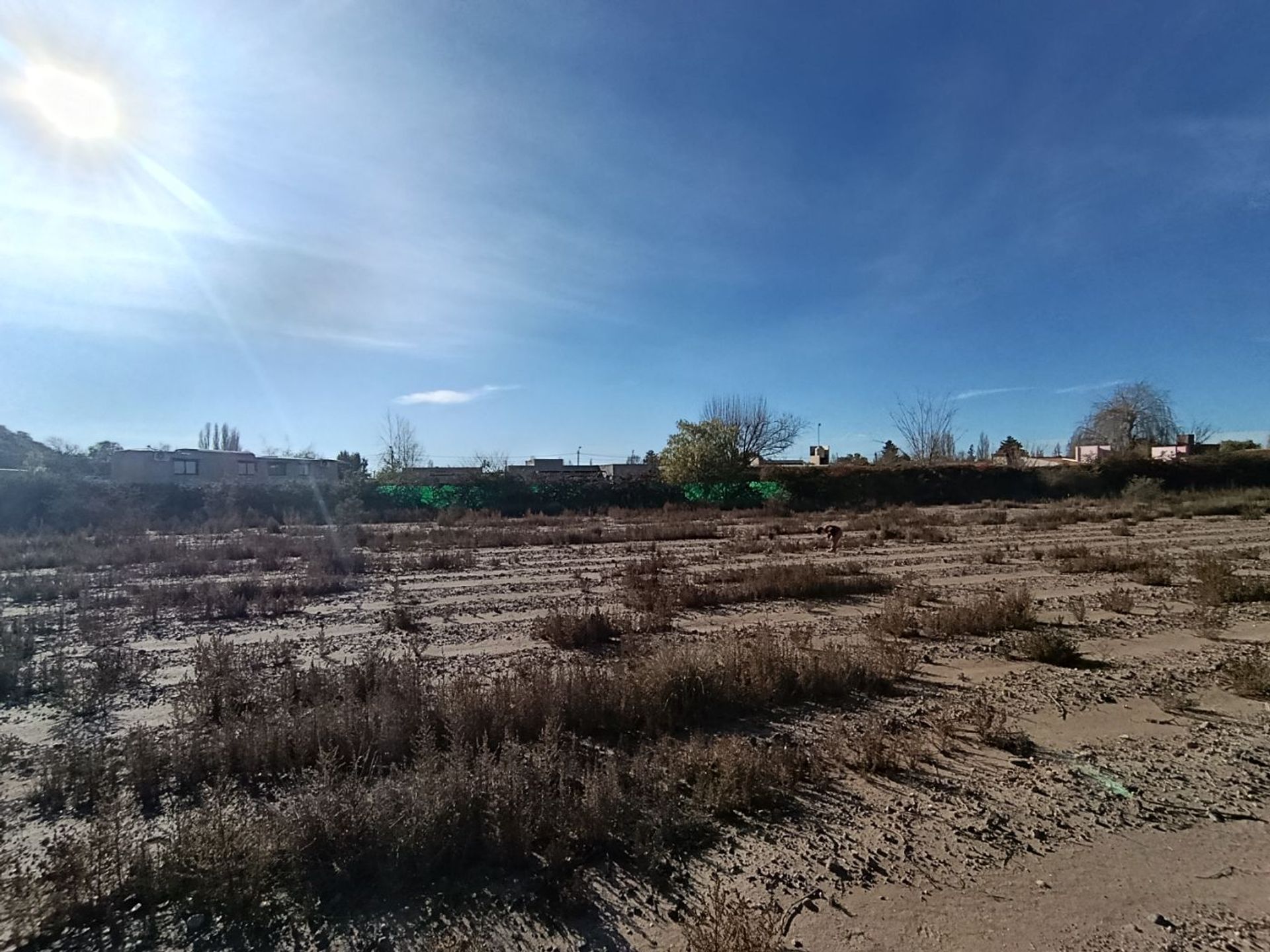 Lote en Venta en Lujan de Cuyo, Mendoza