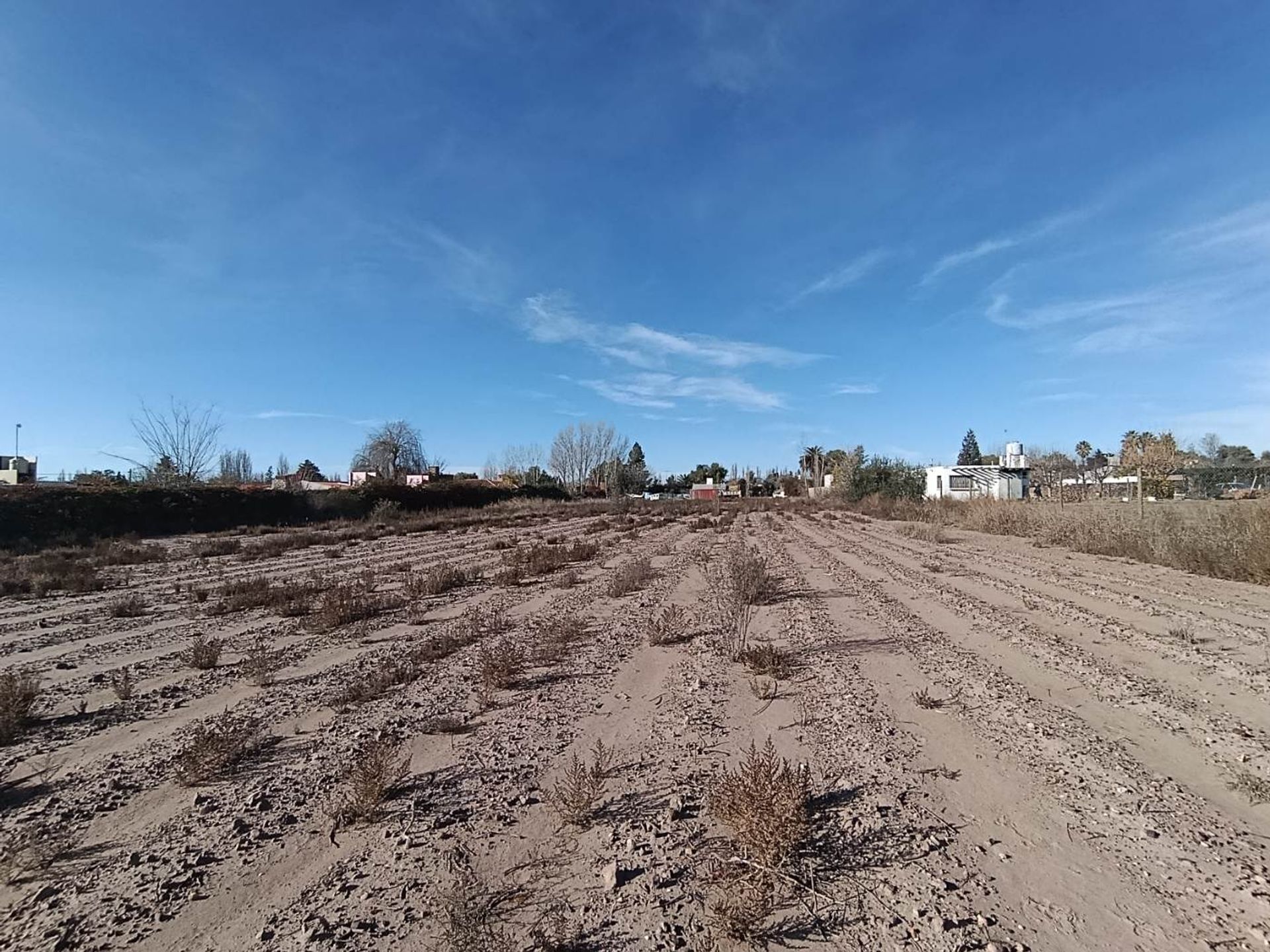 Lote en Venta en Lujan de Cuyo, Mendoza