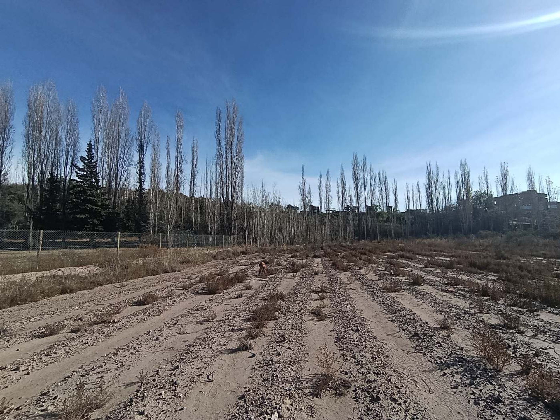 Lote en Venta en Lujan de Cuyo, Mendoza