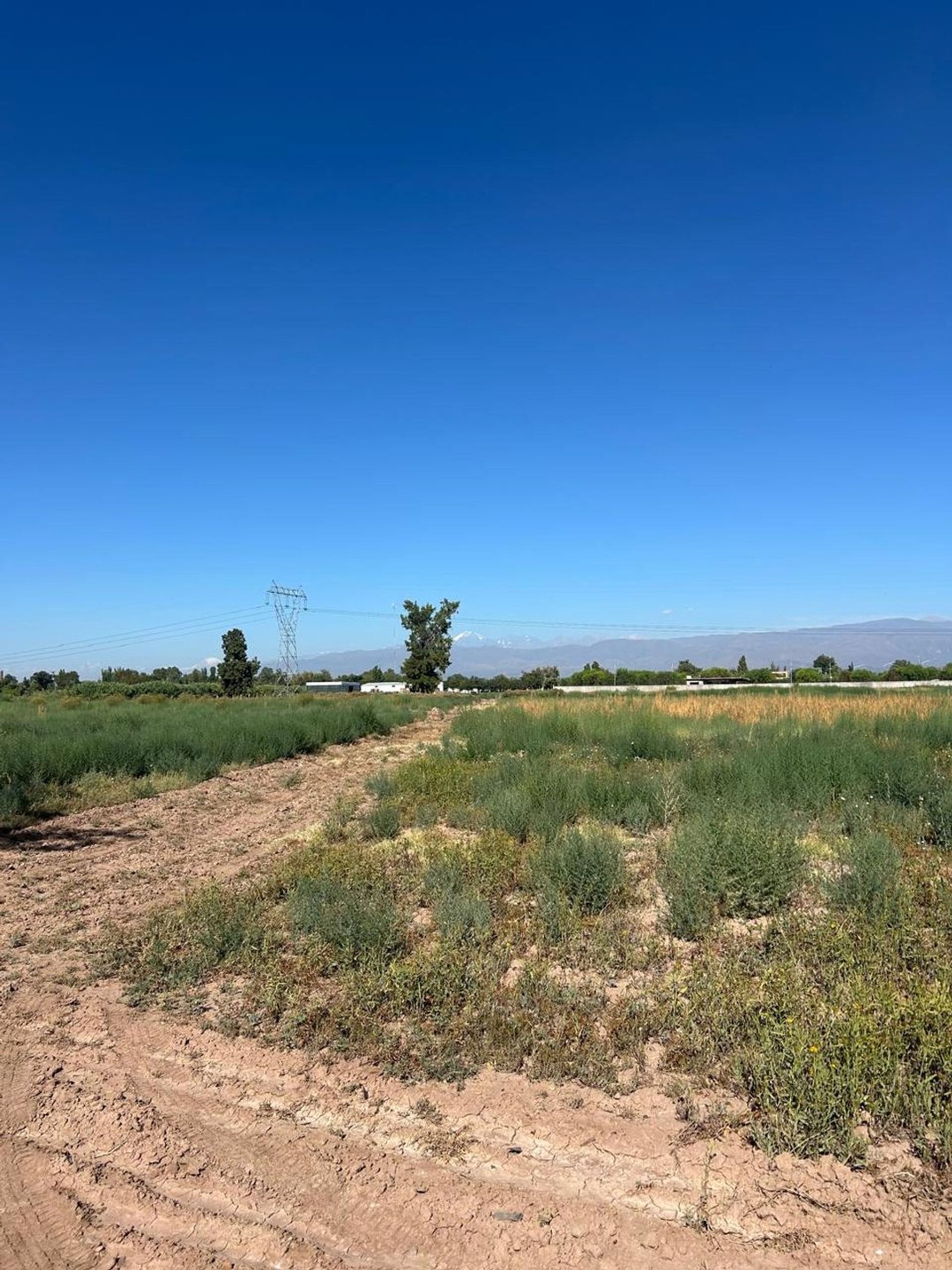 Campo en Venta en Guaymallen, Mendoza