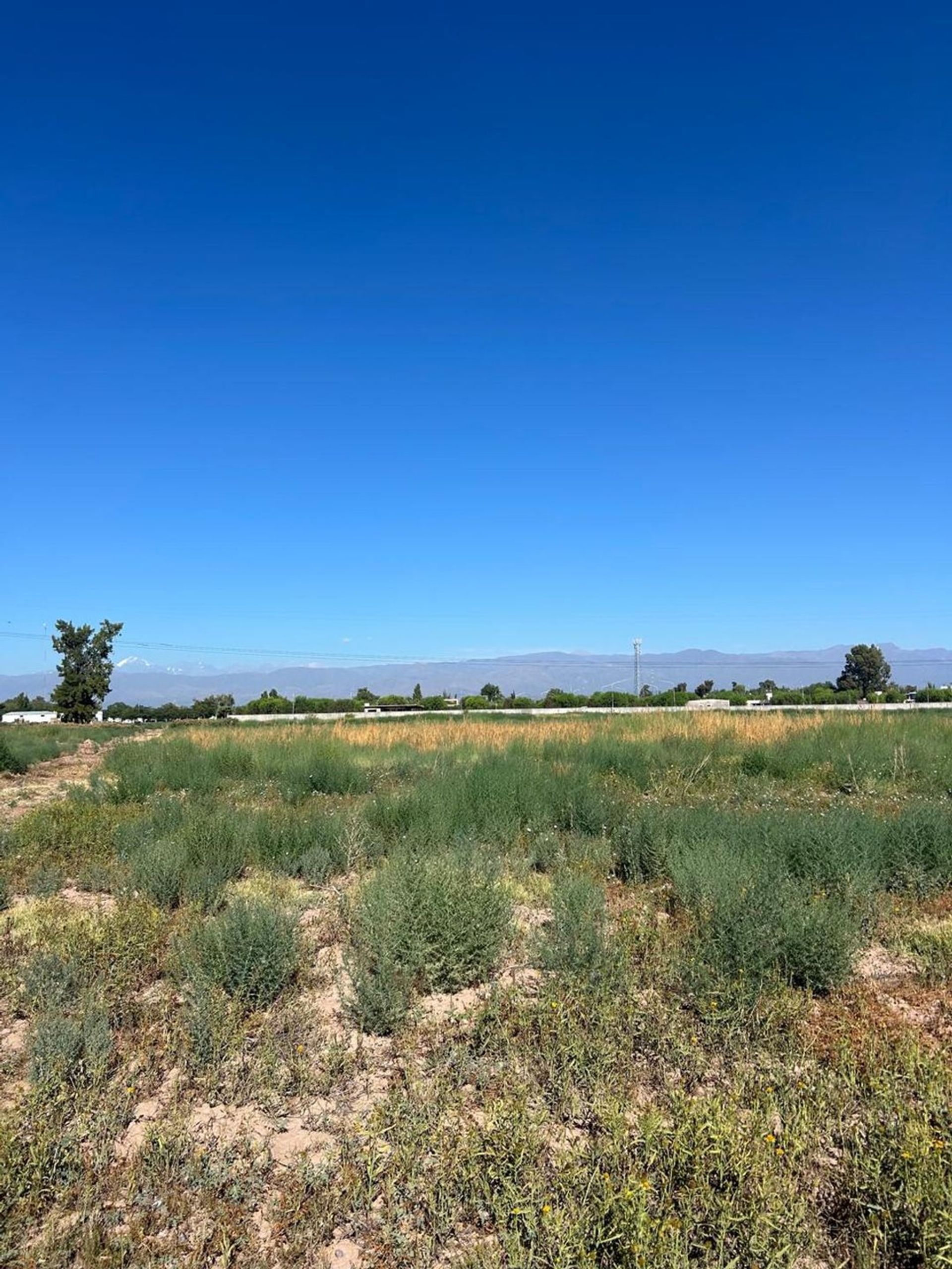 Campo en Venta en Guaymallen, Mendoza