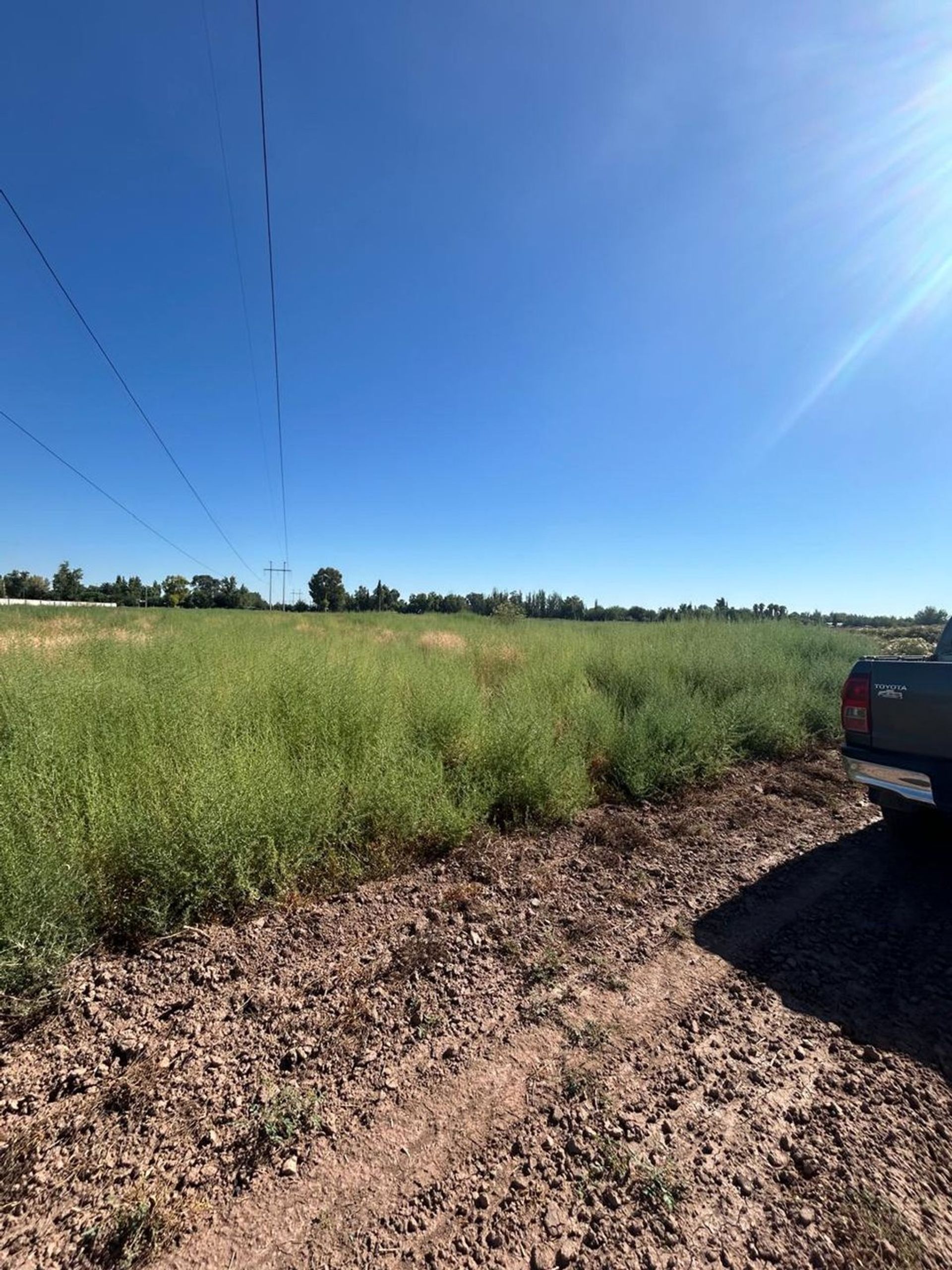 Campo en Venta en Guaymallen, Mendoza