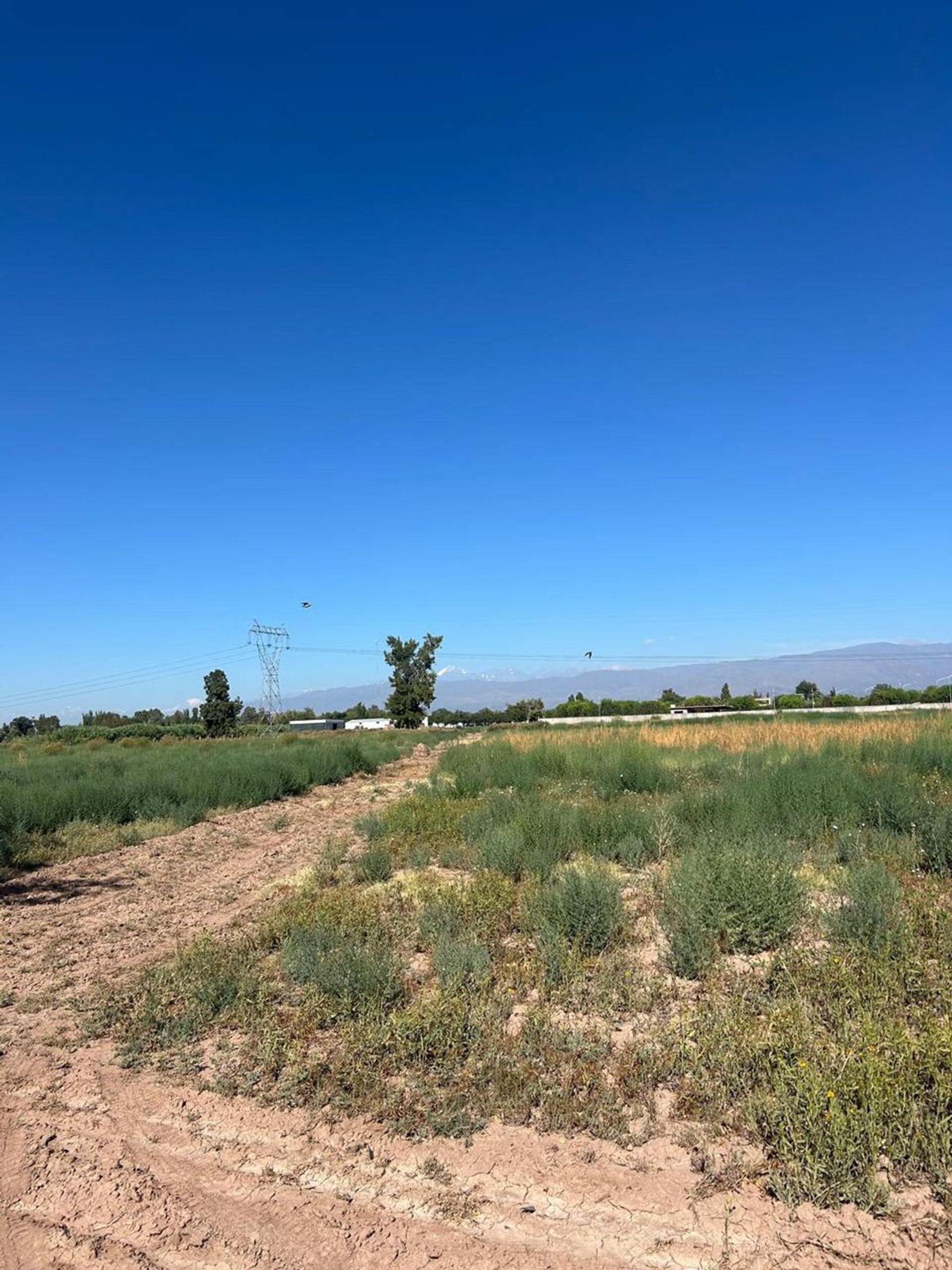 Campo en Venta en Guaymallen, Mendoza