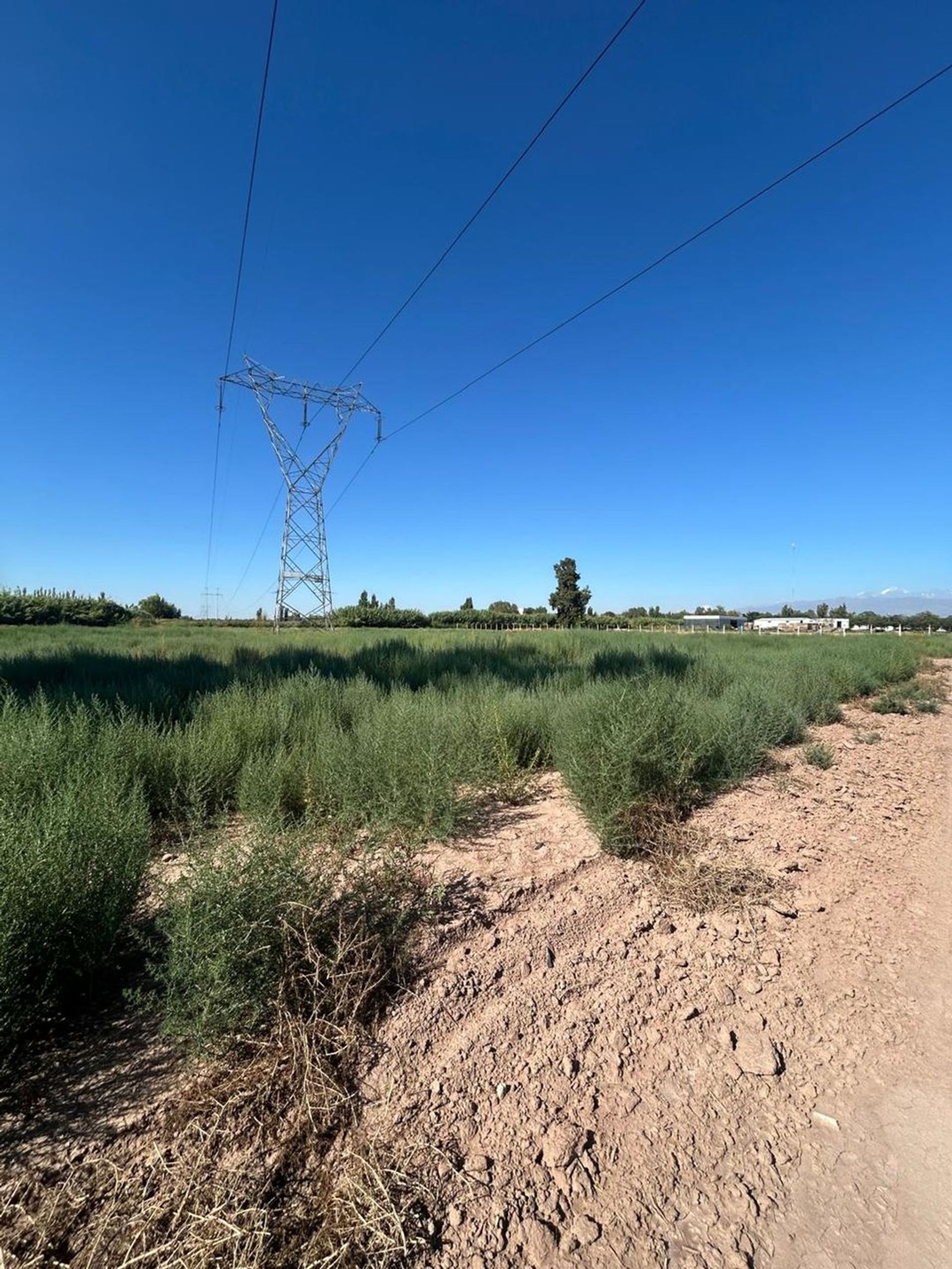 Campo en Venta en Guaymallen, Mendoza