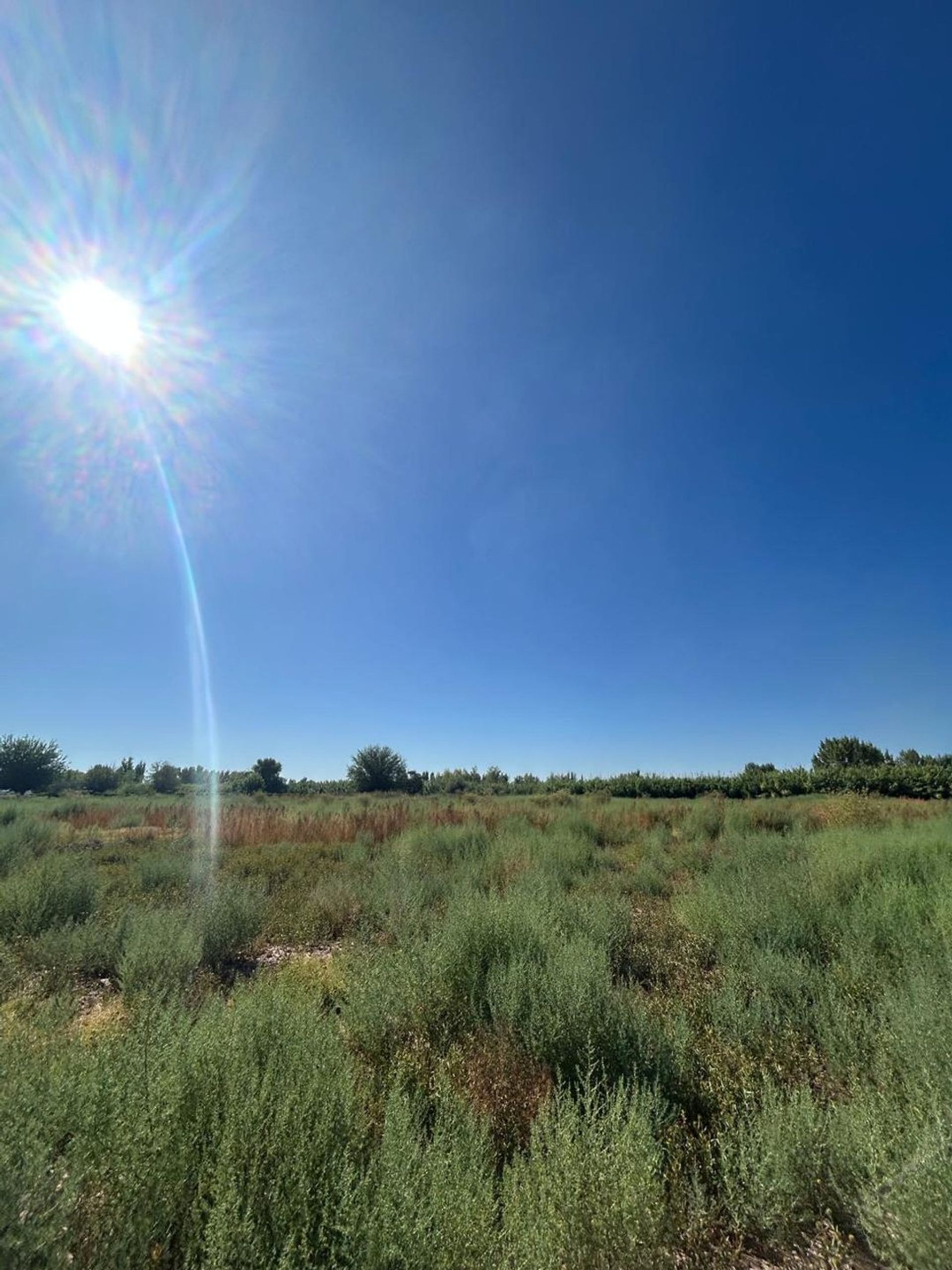 Campo en Venta en Guaymallen, Mendoza